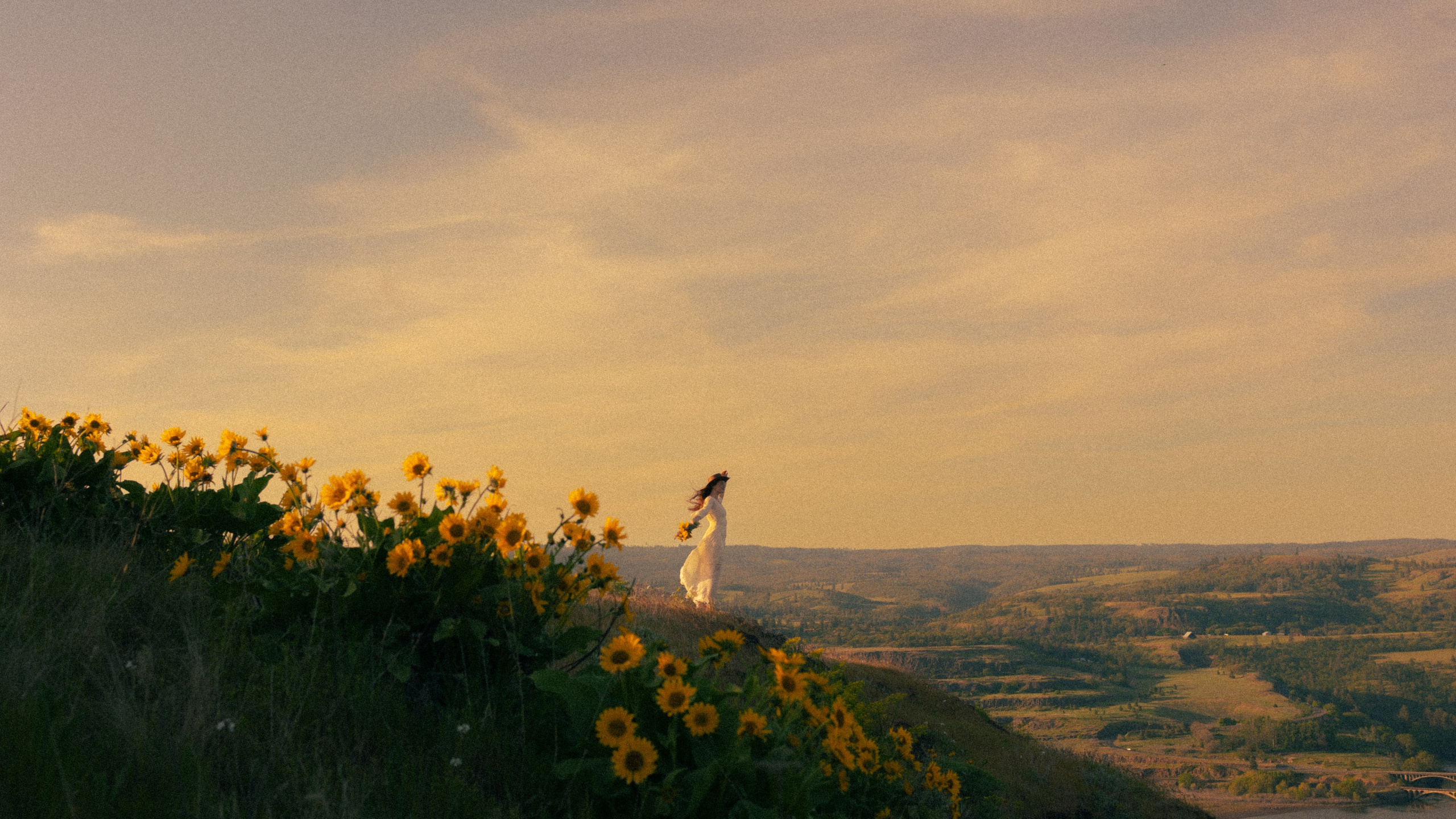 Soft light. Cinematic Photographer Oregon — Washington
