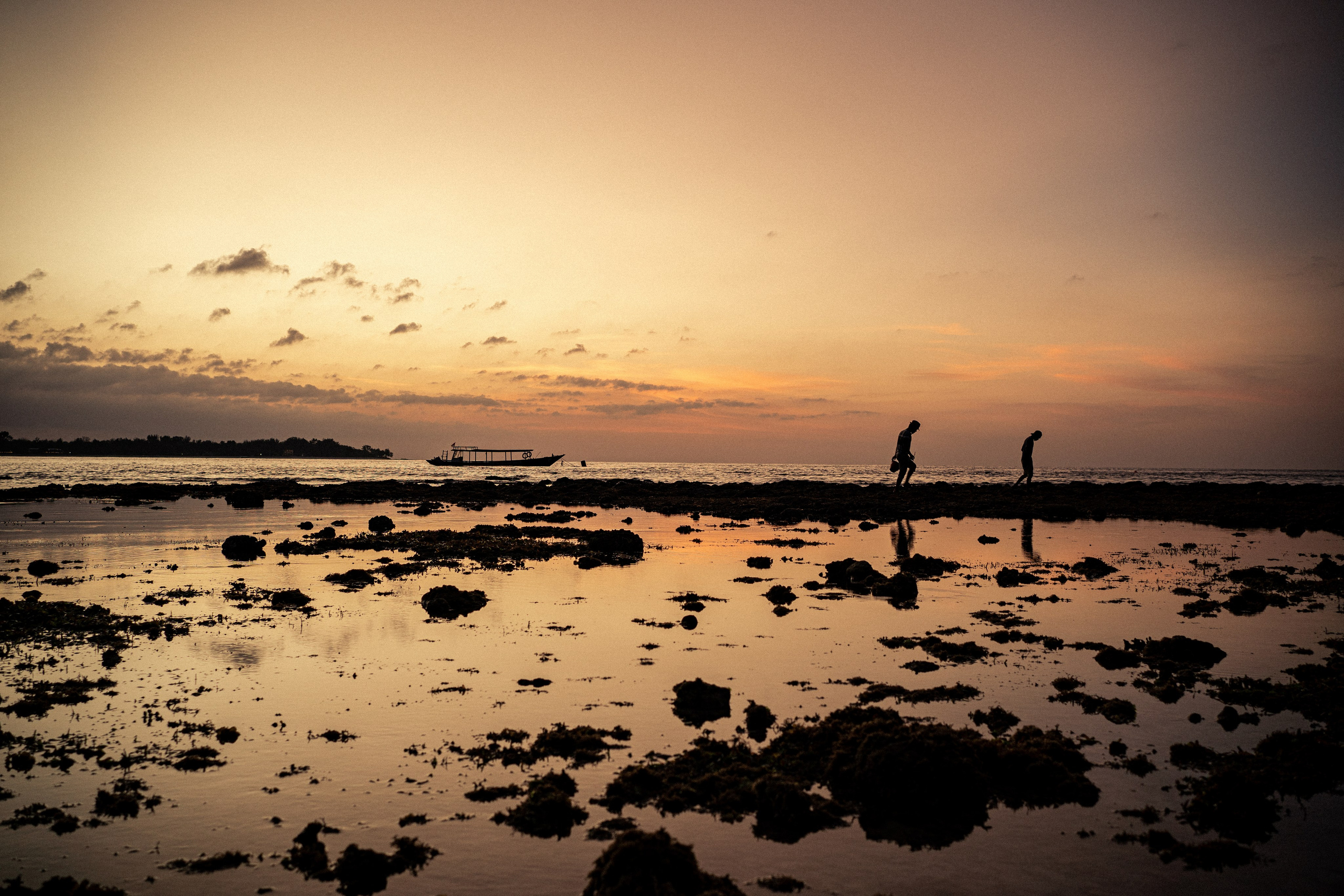 Worldscapes. Catarina Calheiros