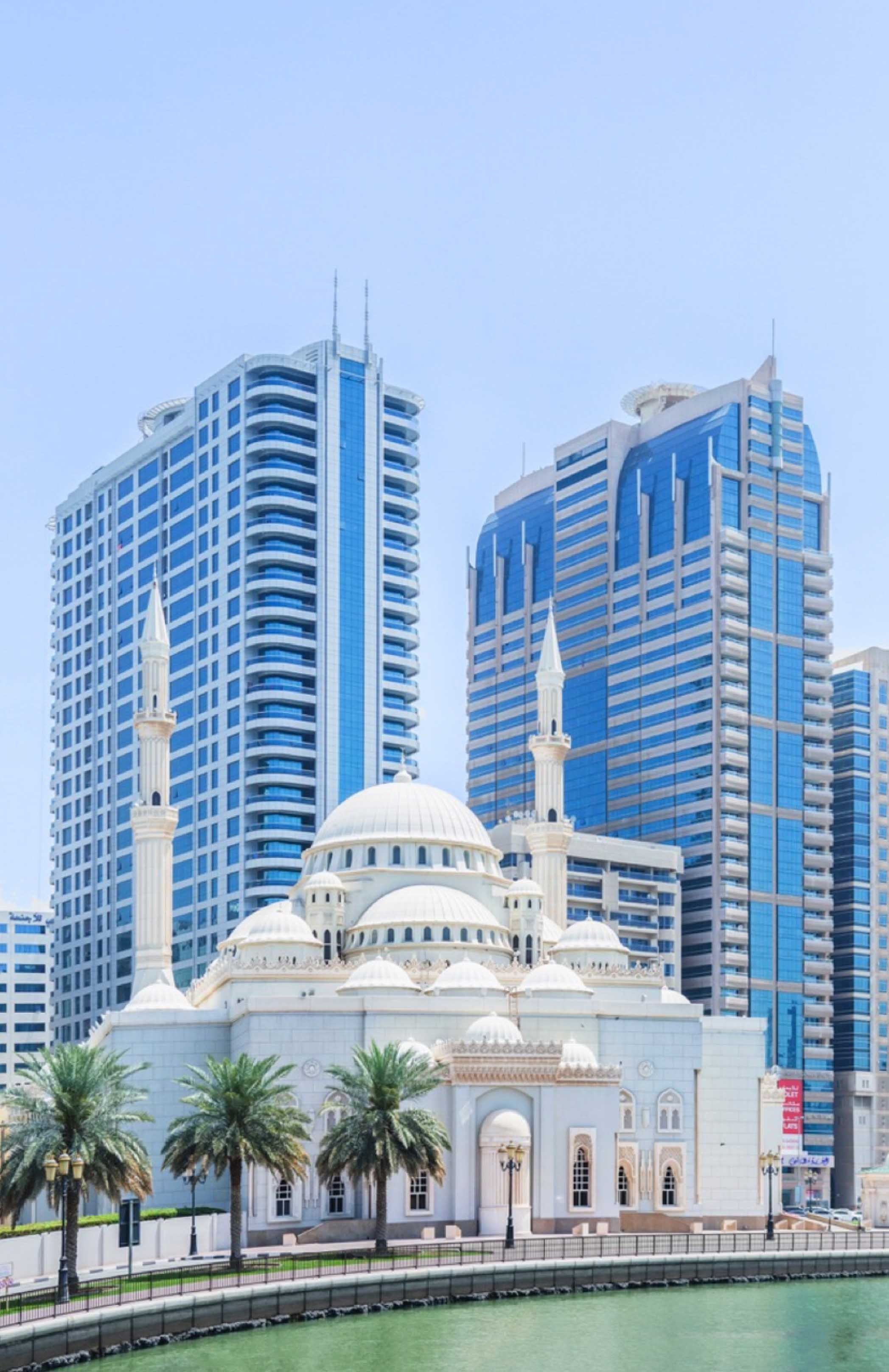 Hotels and resorts. Mohit Holani | Director