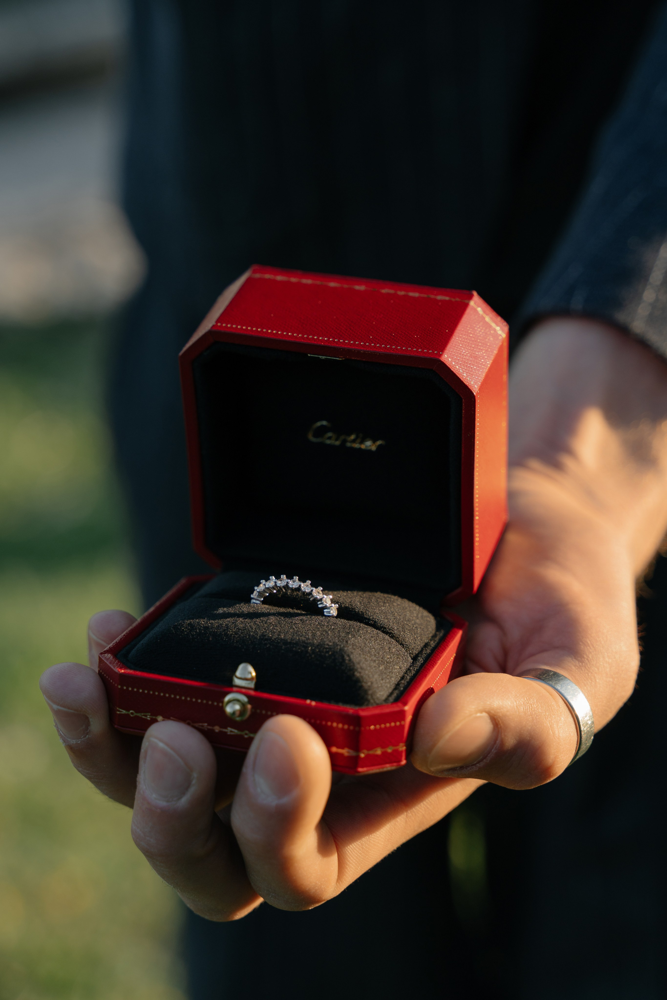 J & C (Verona, Italy). Marriage Proposal Photographer in Verona & Lake Garda | Diana Fedrigo
