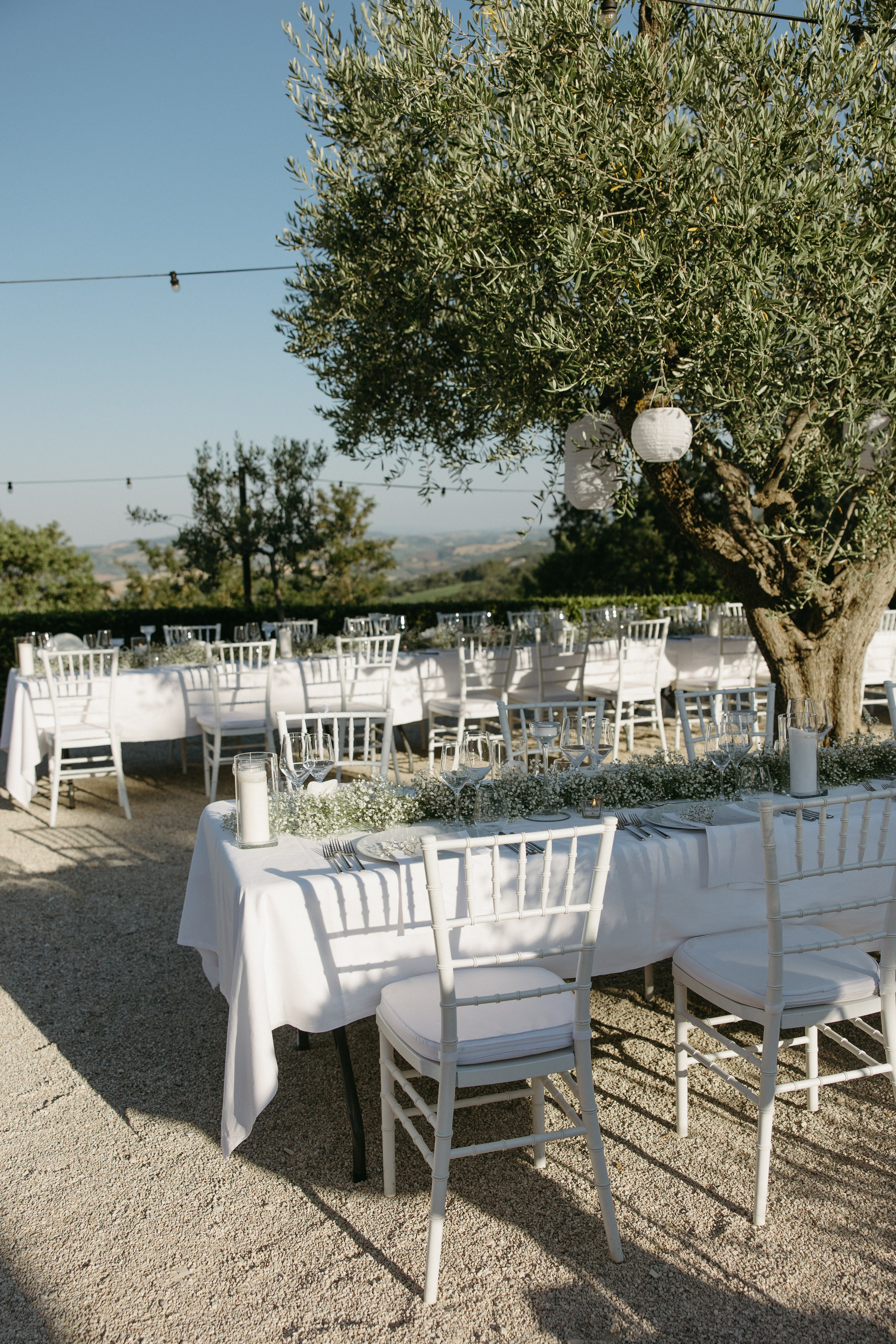 Sofia&Falk. Весільний фотограф Вікторія Саврук