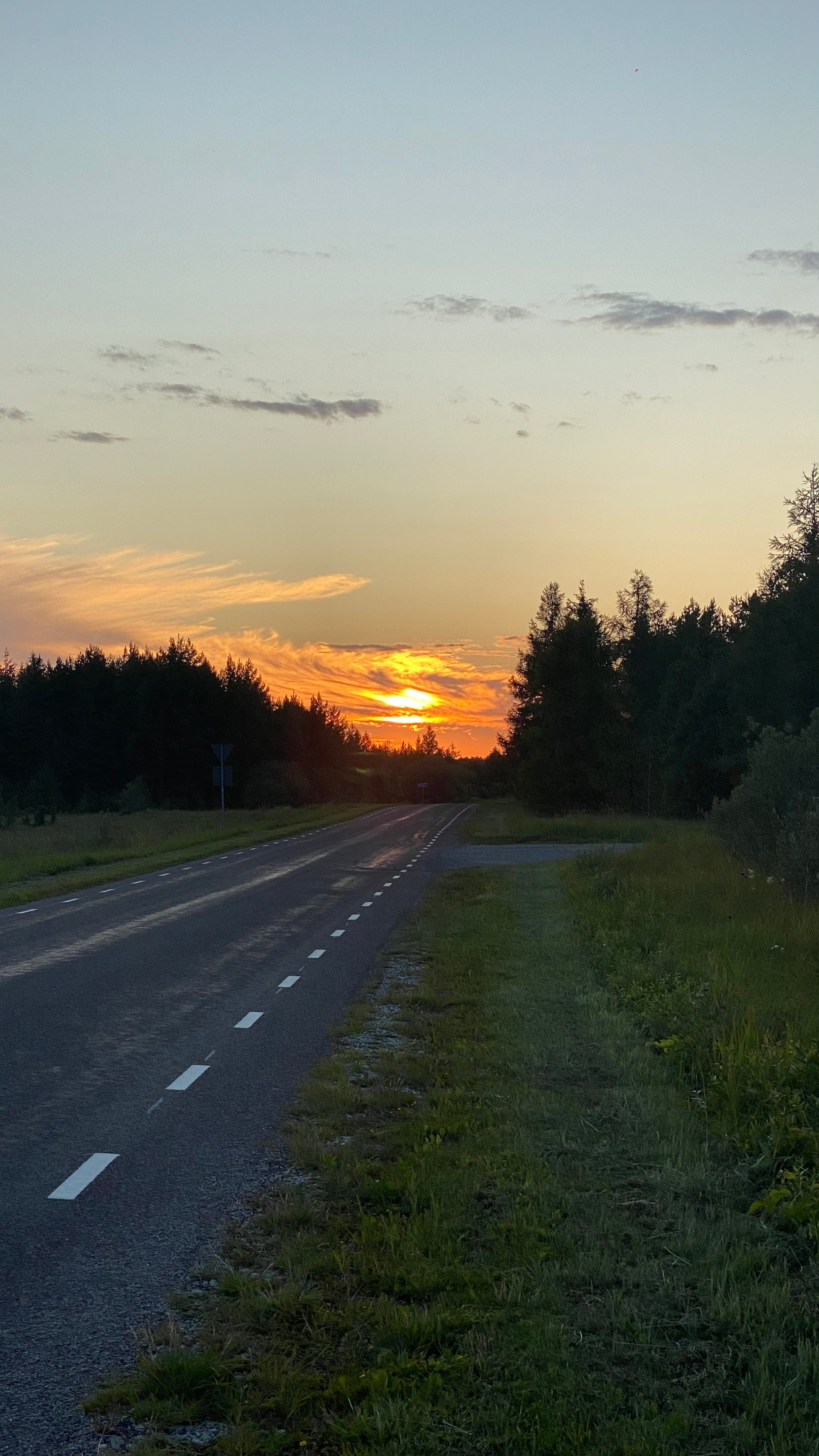 Whispers of Estonia. Photography | Videography | Marketing