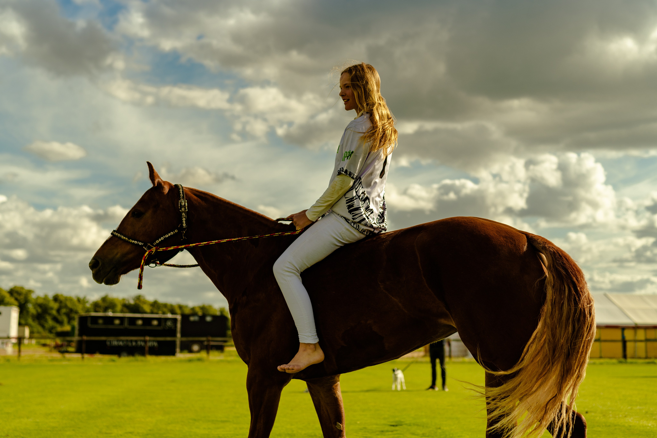 Photo shoot with horses