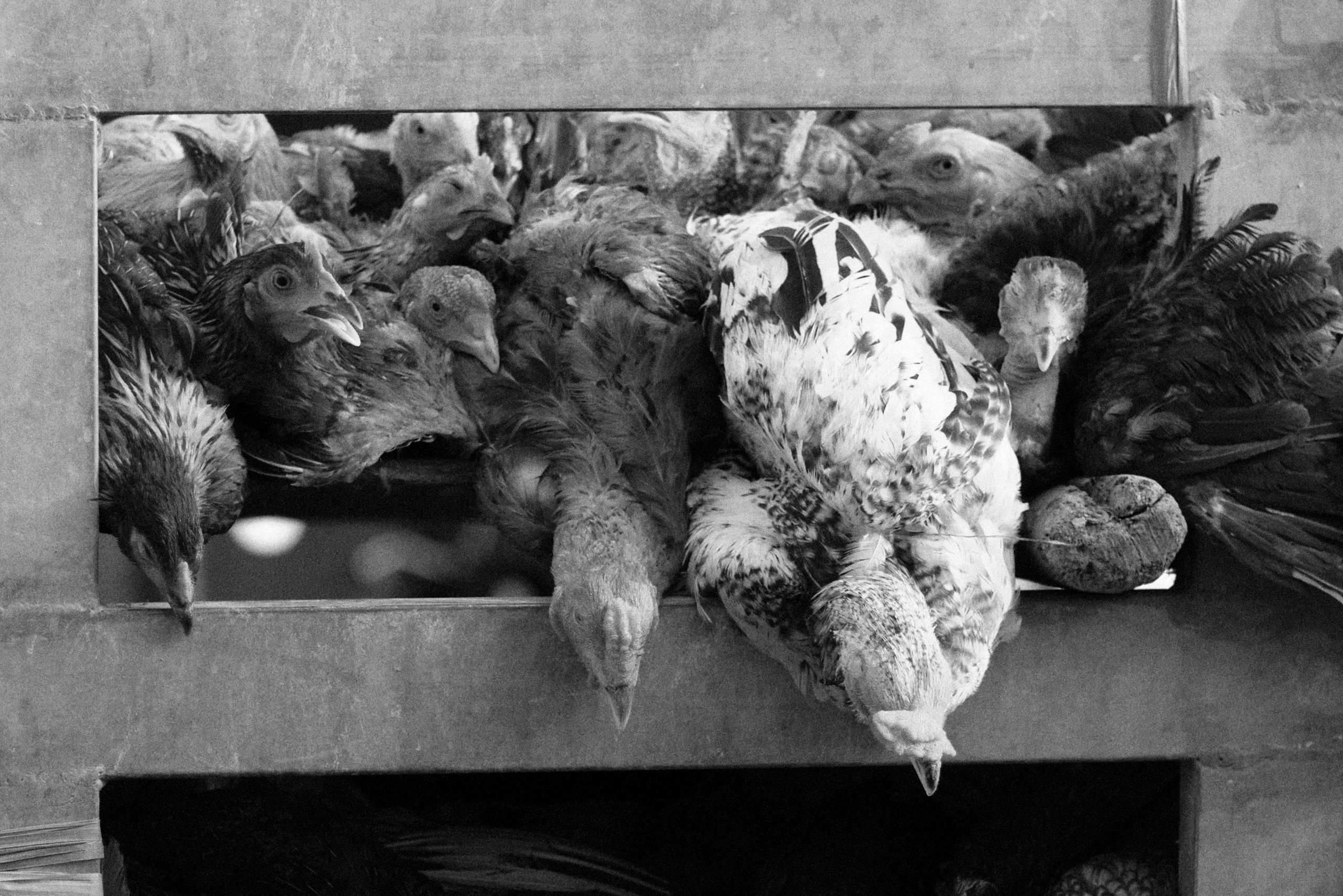 Street photo, Cambodia by Petr Nabutov