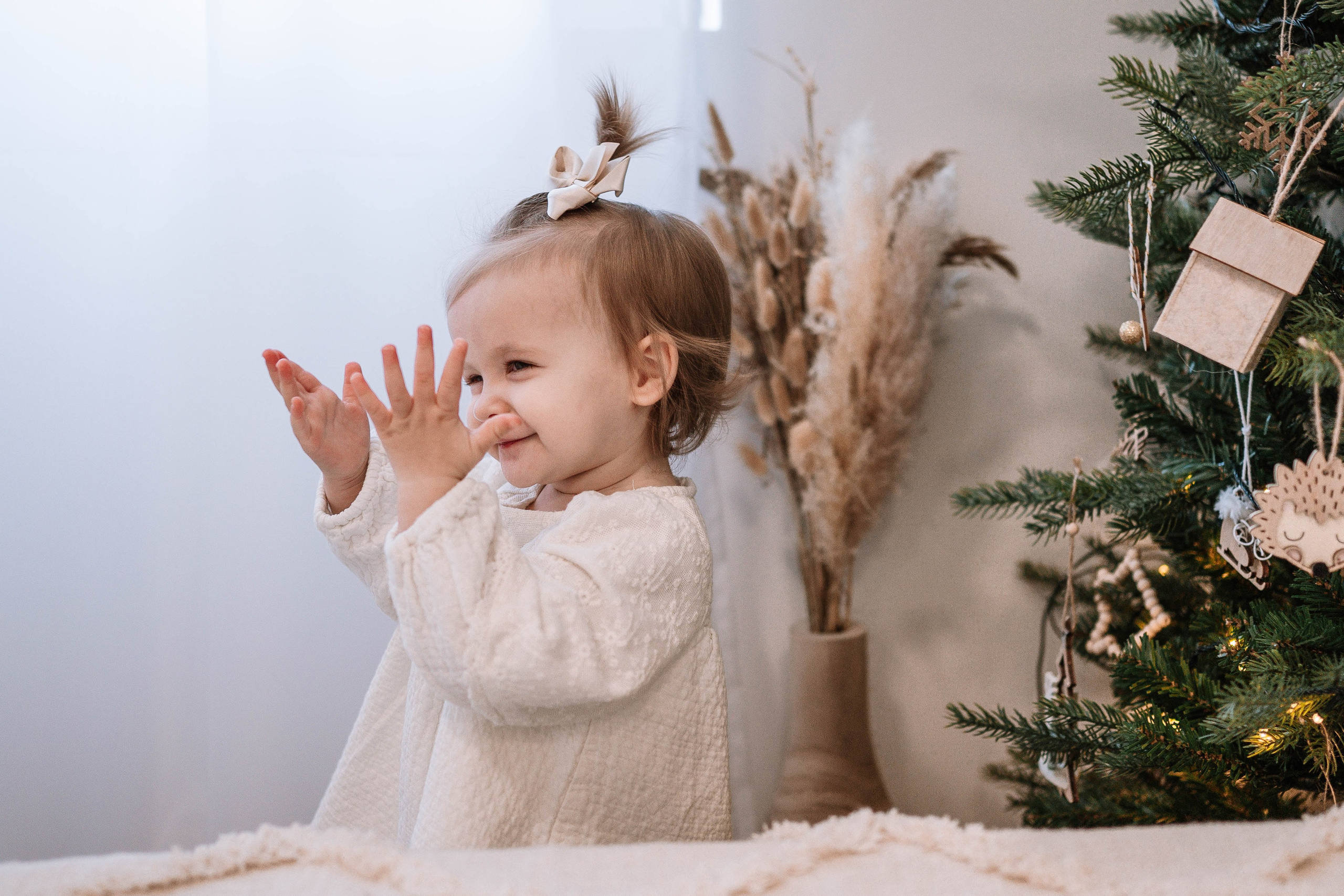Vera - novogodišnje fotografisanje. Dečiji i porodični fotograf