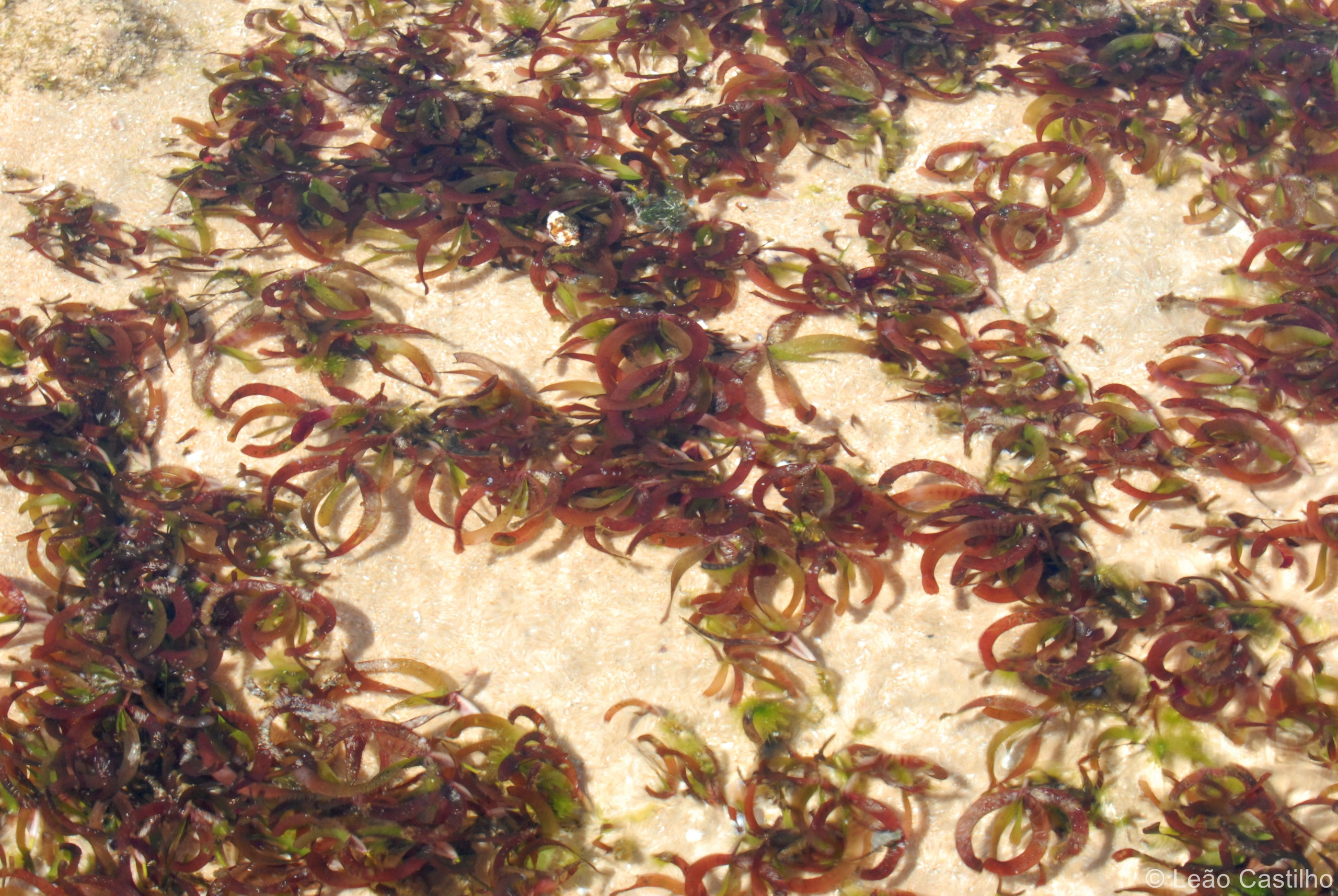 Photos from Mozambique. Simbahalu