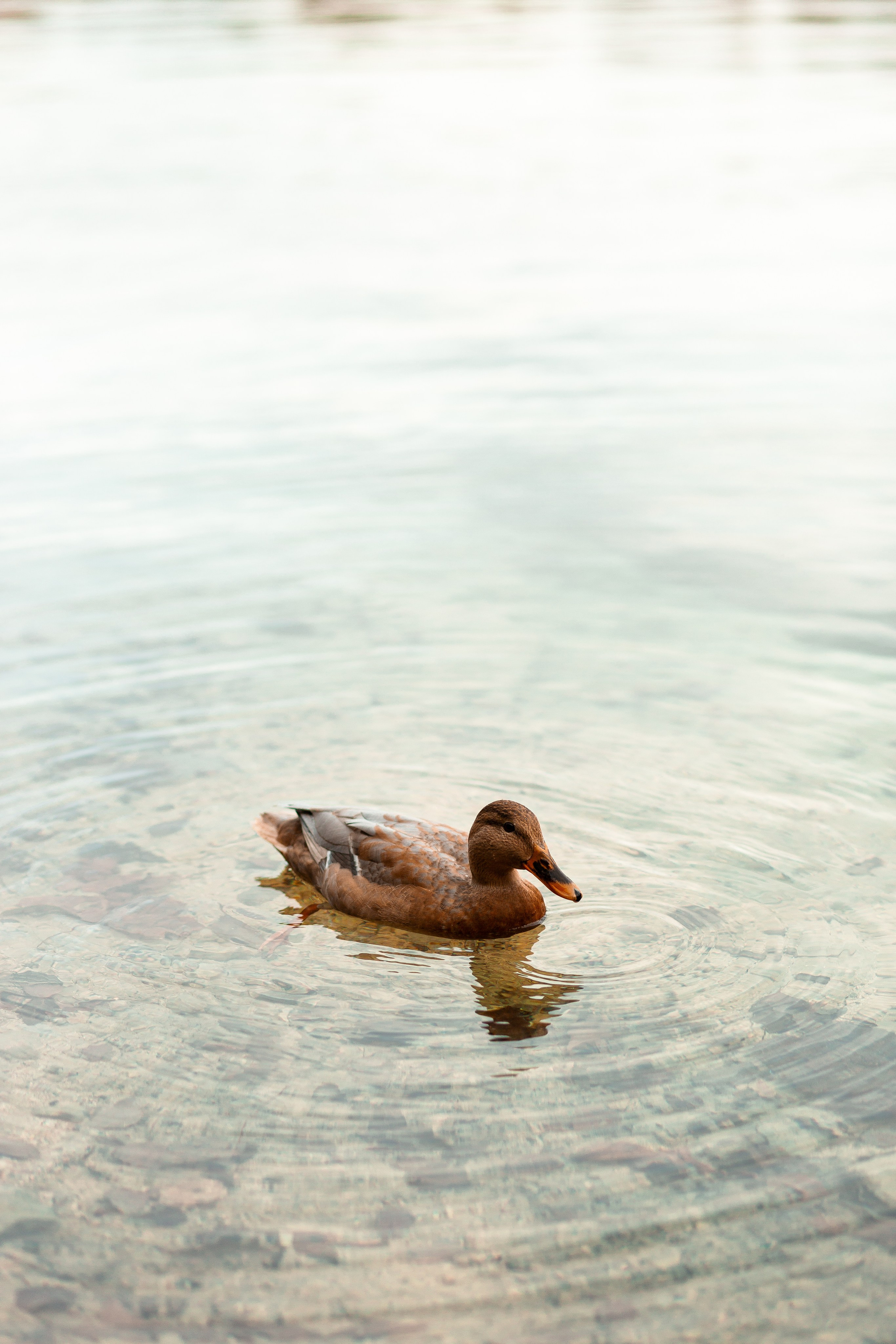 Rodzina Marta Oskar i Nikoś
