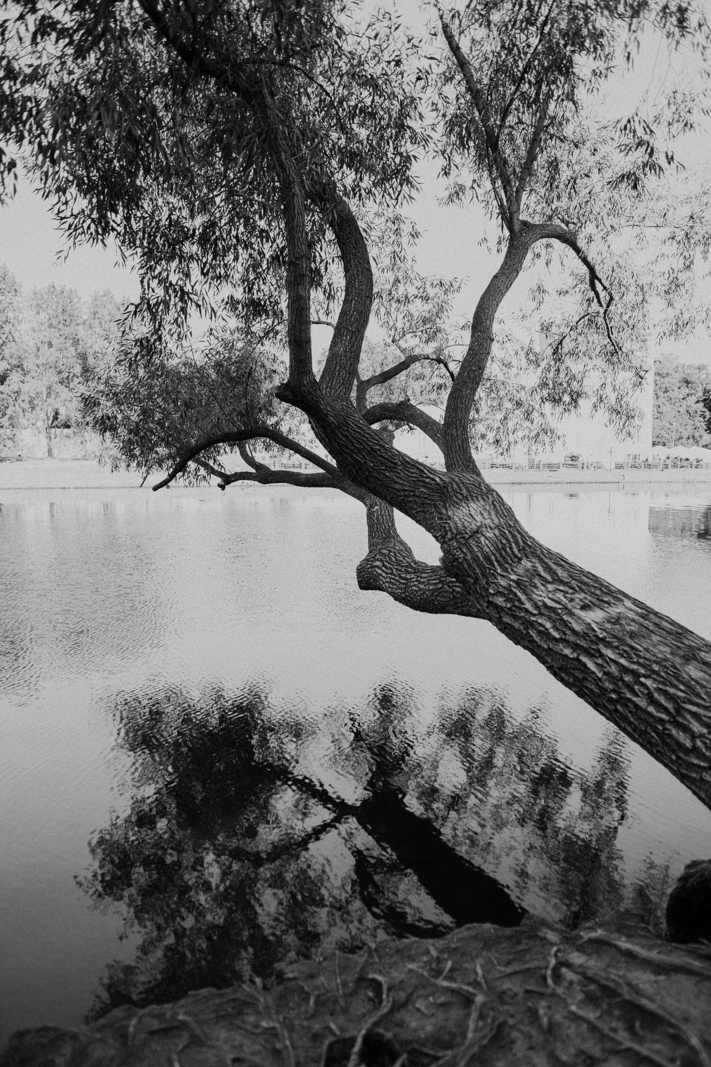 . Фотограф в Праге Анна Лебедева