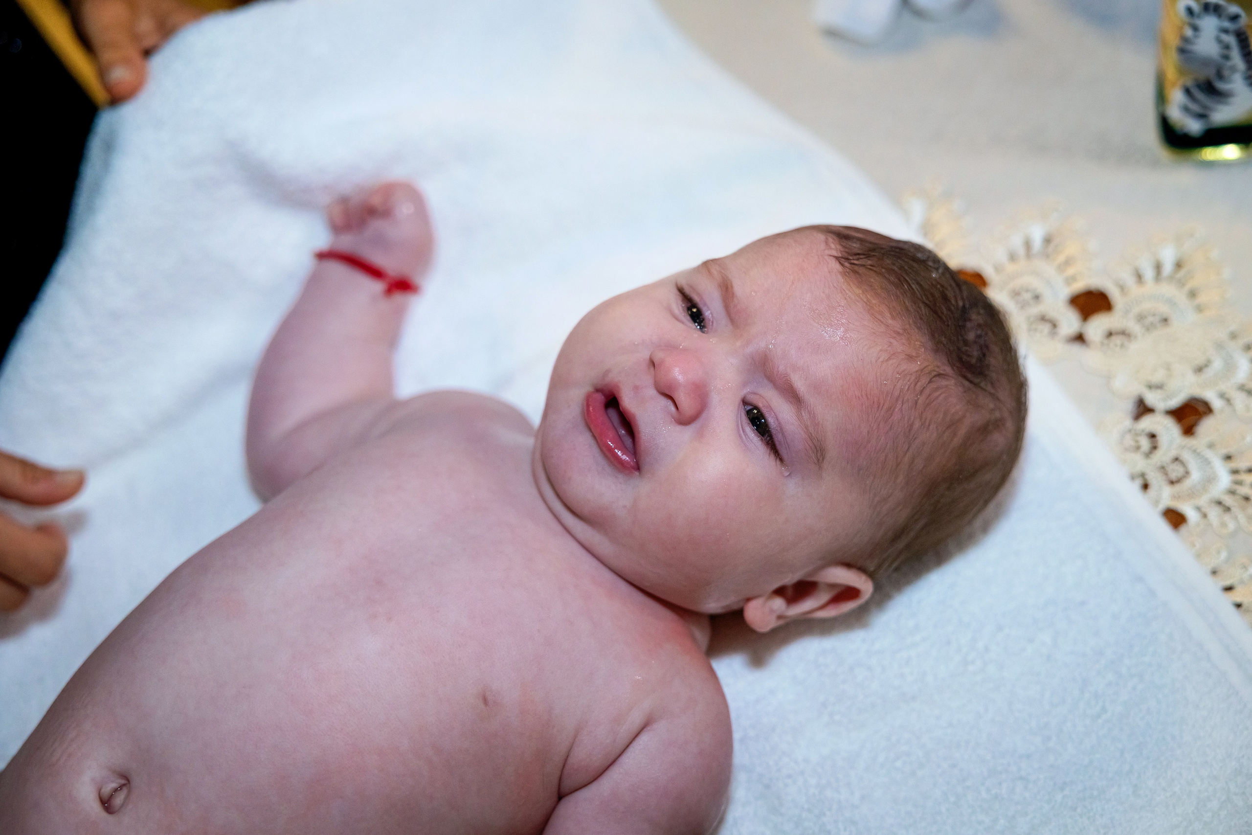 Andrei Damian. Moments By Gub