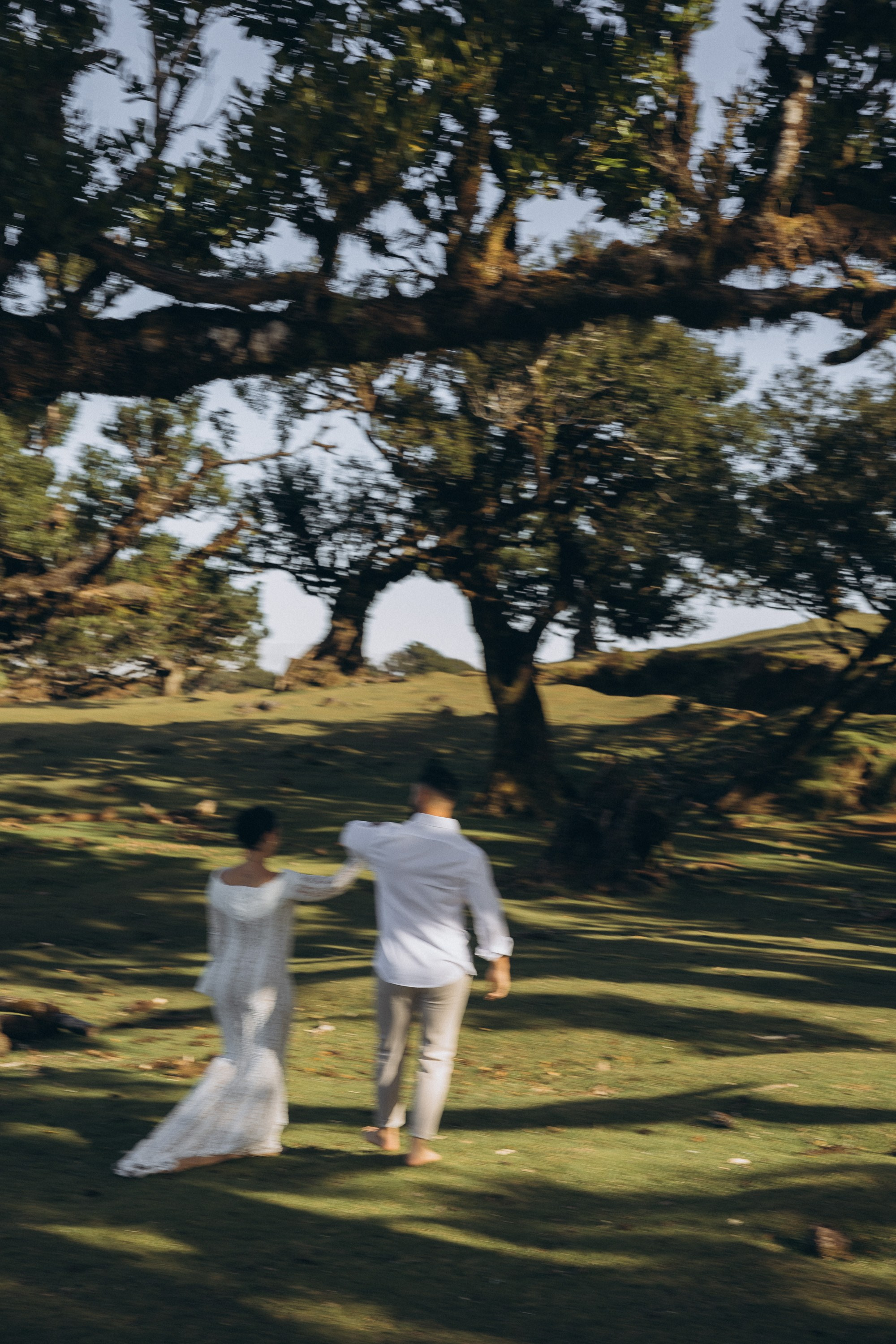Maternity Photoshoot at Fanal Forest, Madeira