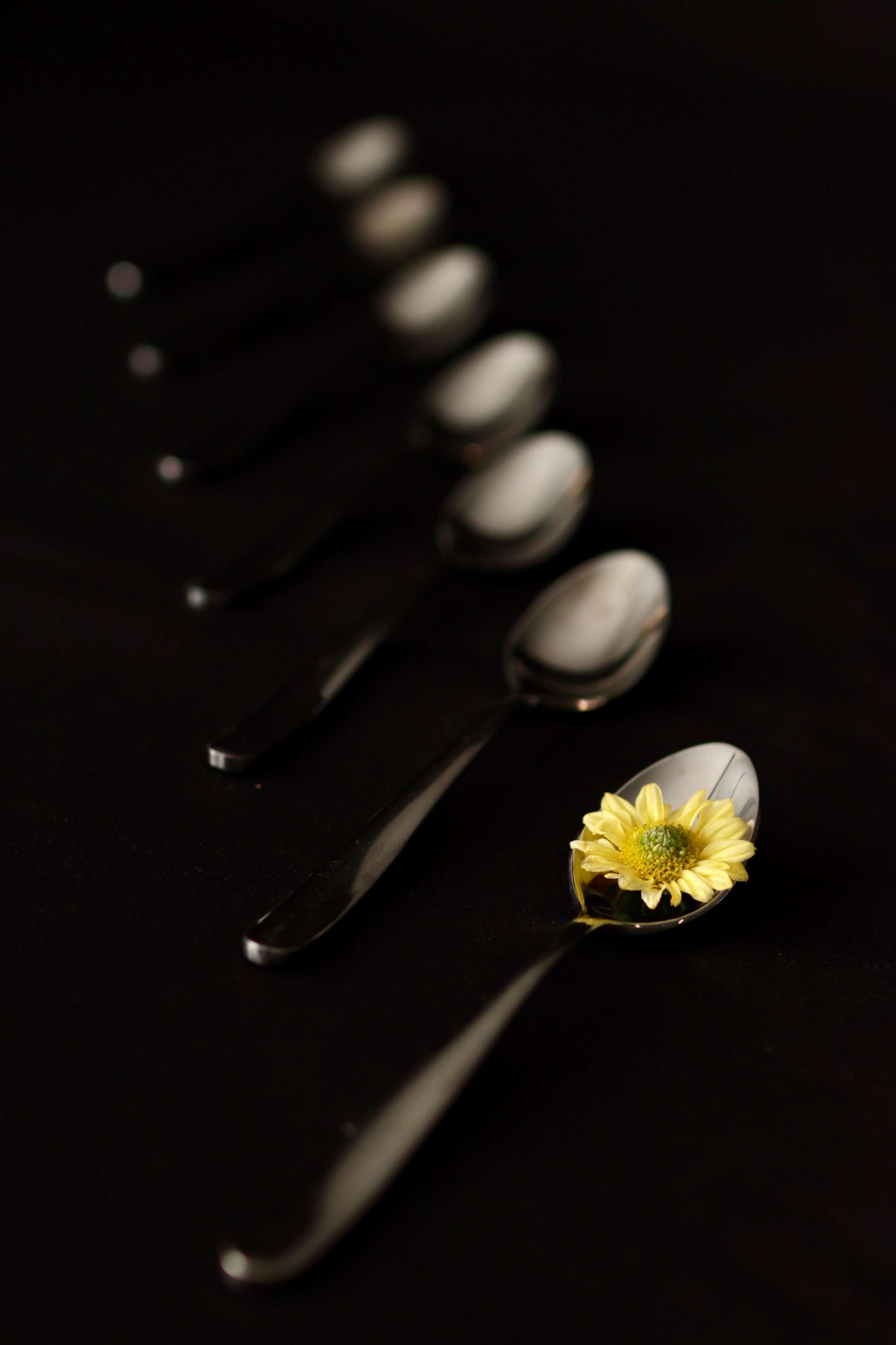 Предметная съемка. Фотограф Таня Уорд Бидефорд Пермь Эксетер Плимут Лондон