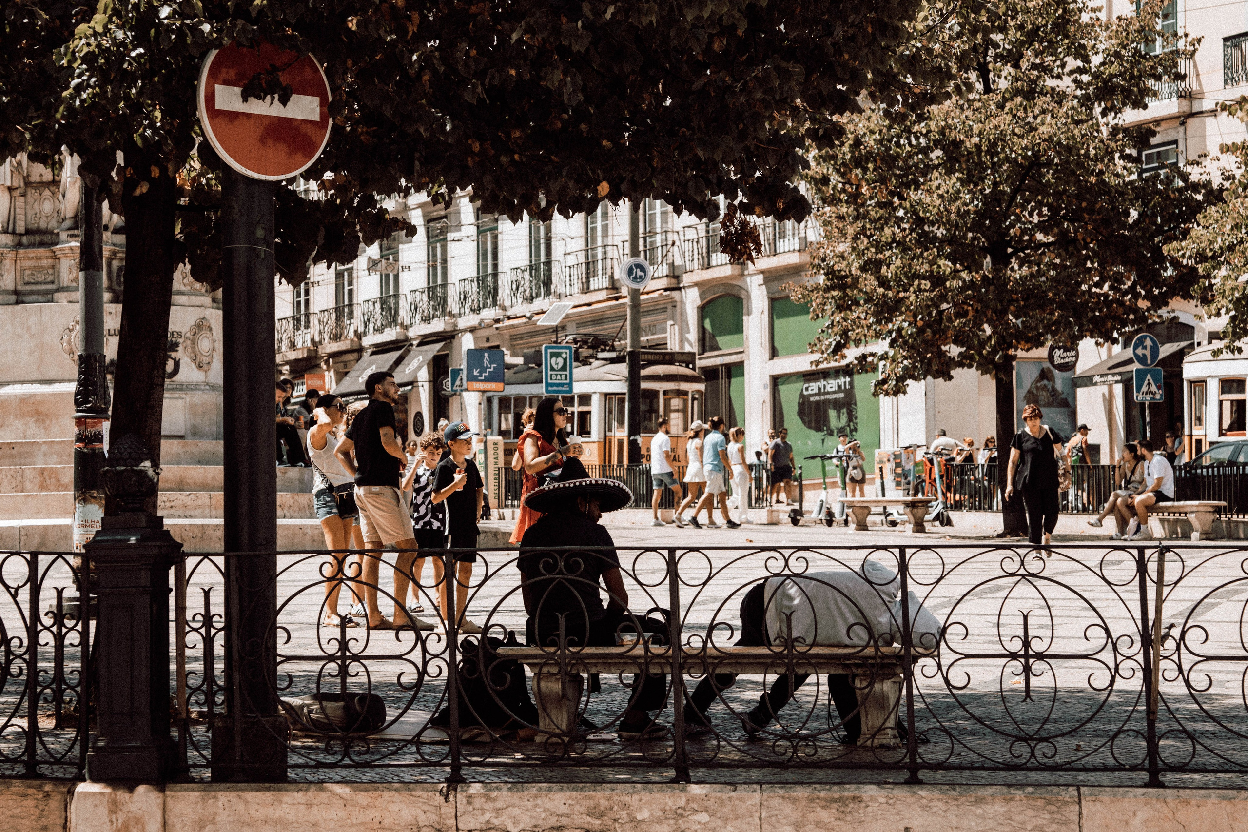 Lisboa, Agosto 2024. Alba del Norte Studio