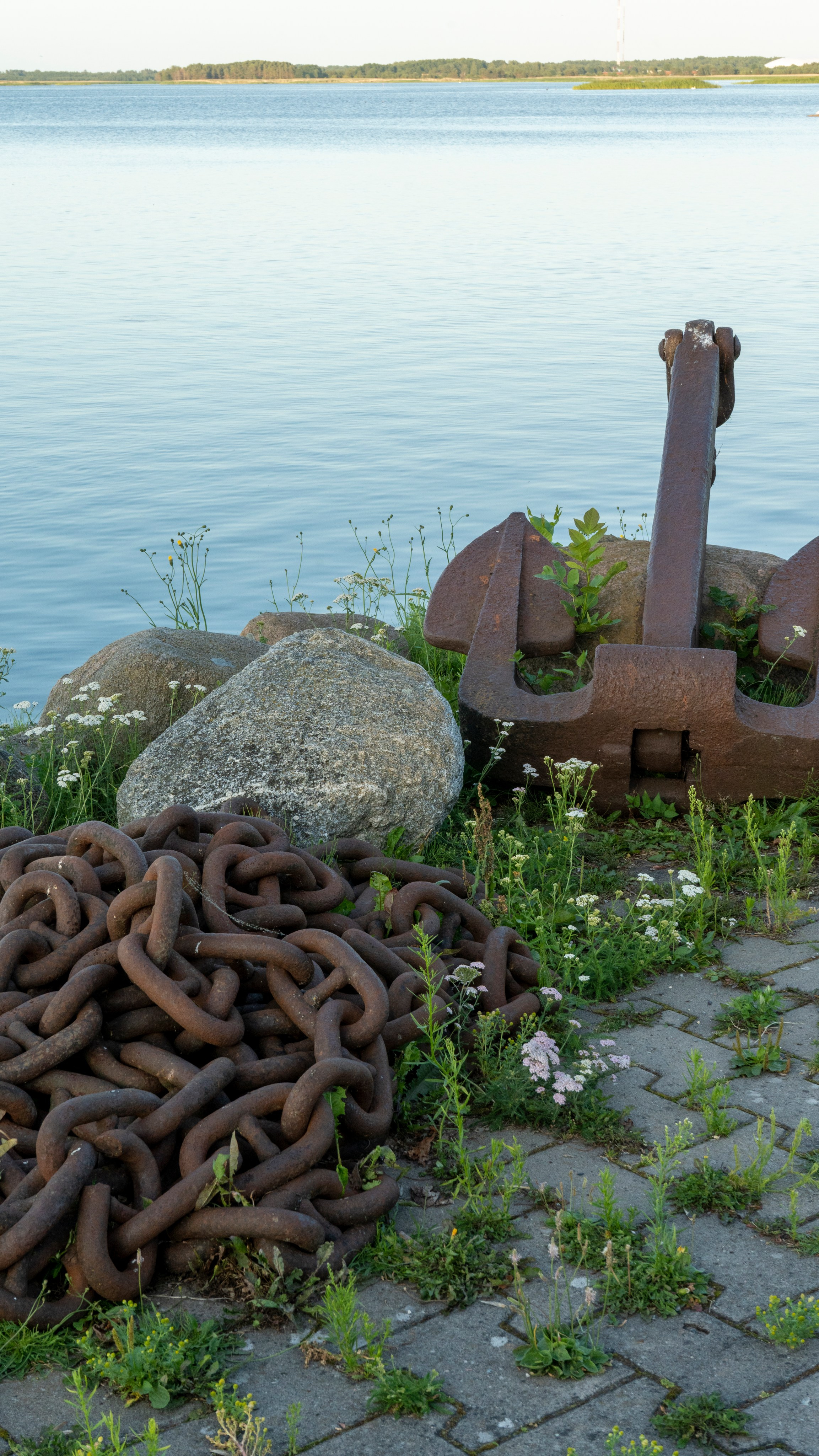 Whispers of Estonia. Photography | Videography | Marketing