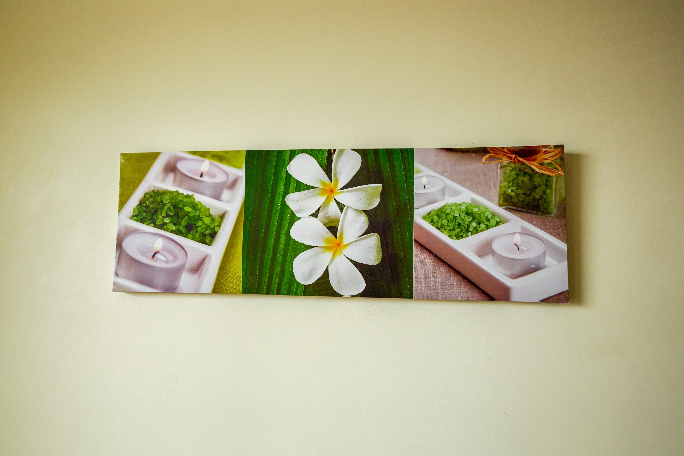 Povilionio. Elina Sapiega fotografė Vilniuje