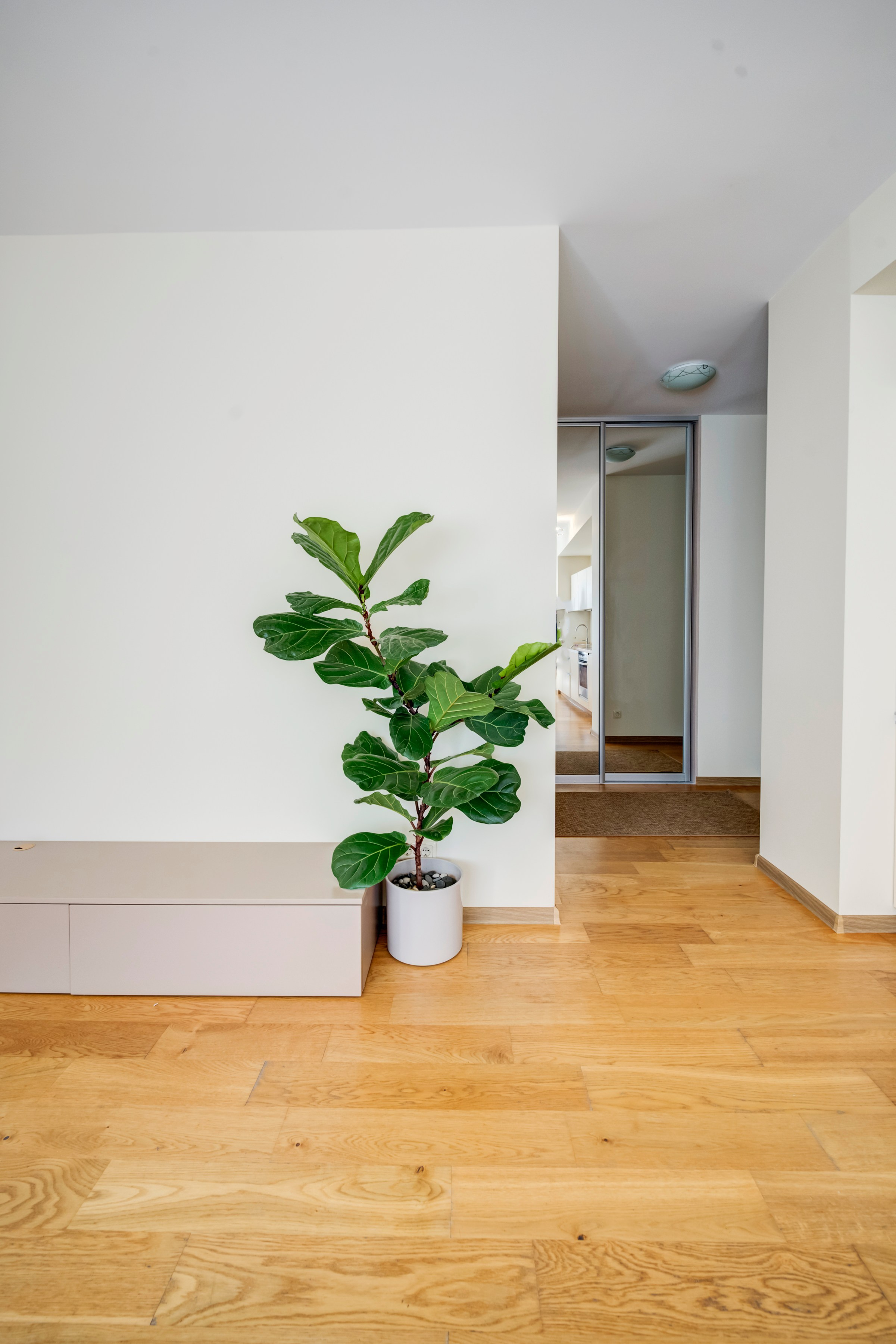 Franko g. 12. Elina Sapiega fotografė Vilniuje