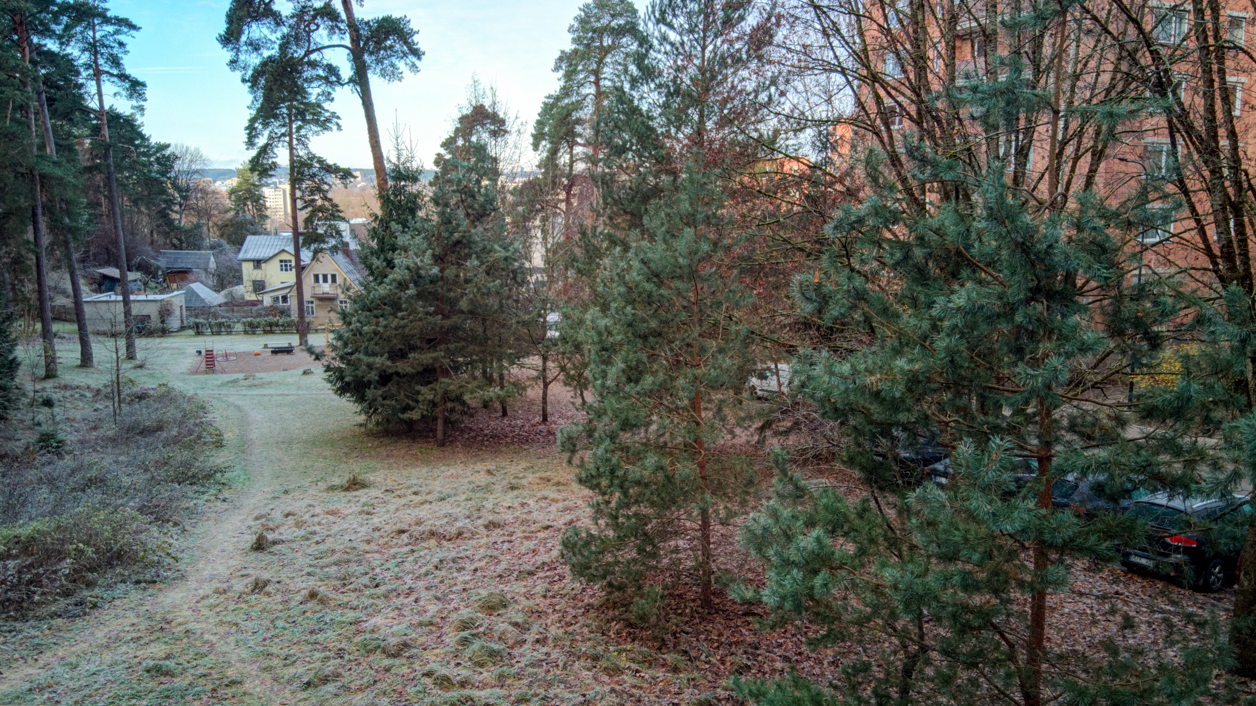 Dronas Antakalnis, Kanklių 10. Elina Sapiega fotografė Vilniuje