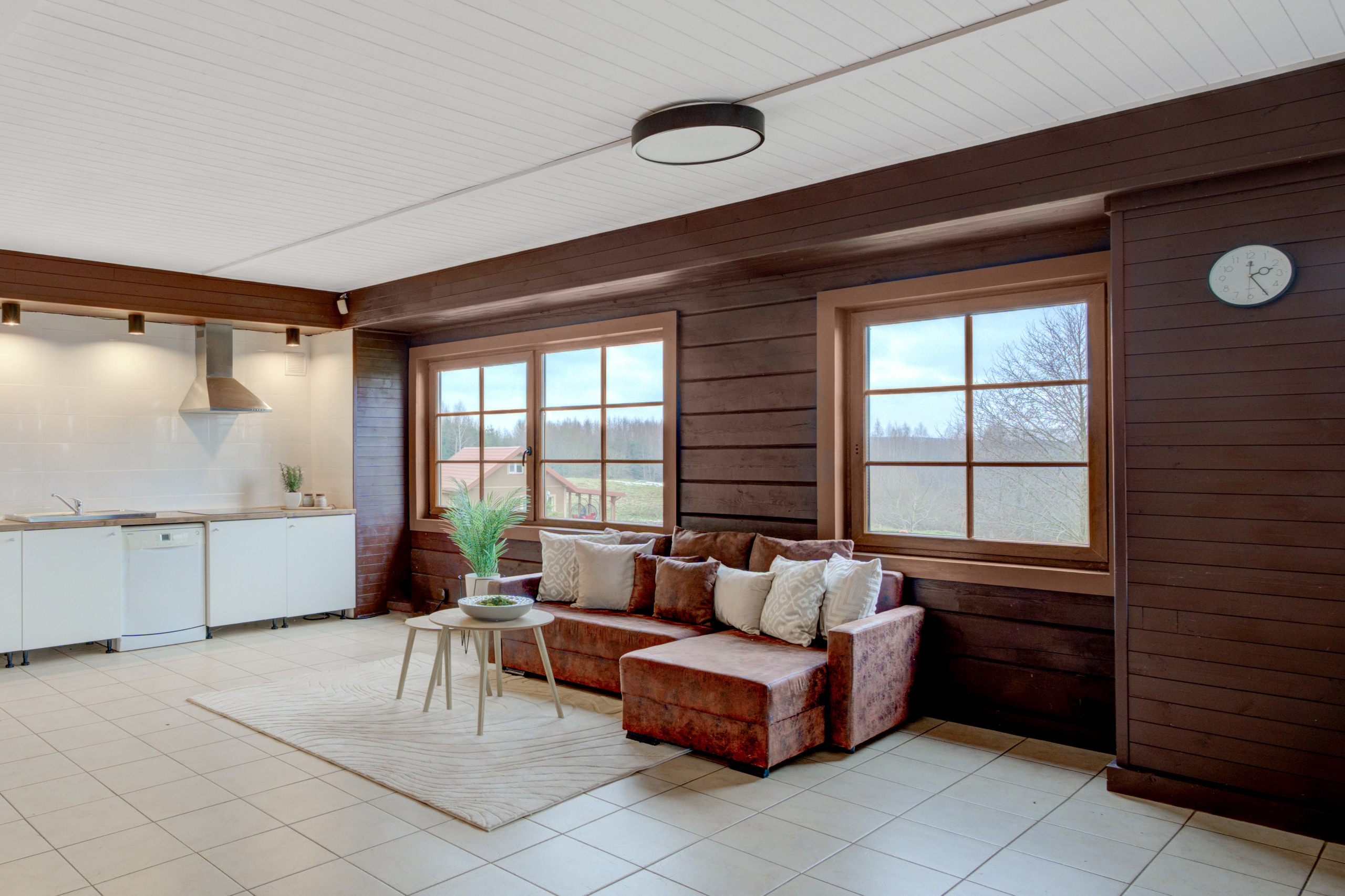 Trakų raj. sodyba. Elina Sapiega fotografė Vilniuje