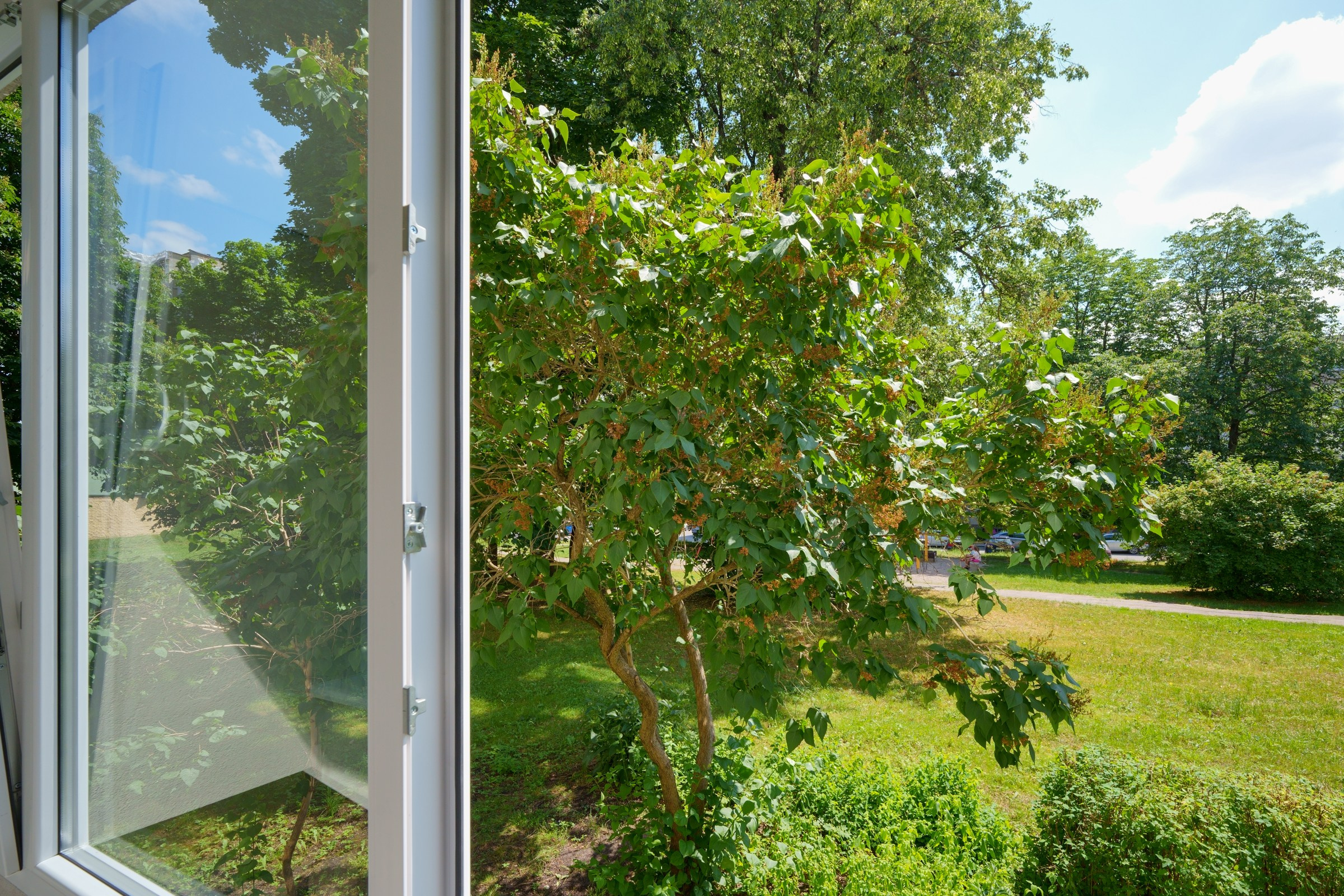 Tuskulėnų g. 8. Elina Sapiega fotografė Vilniuje