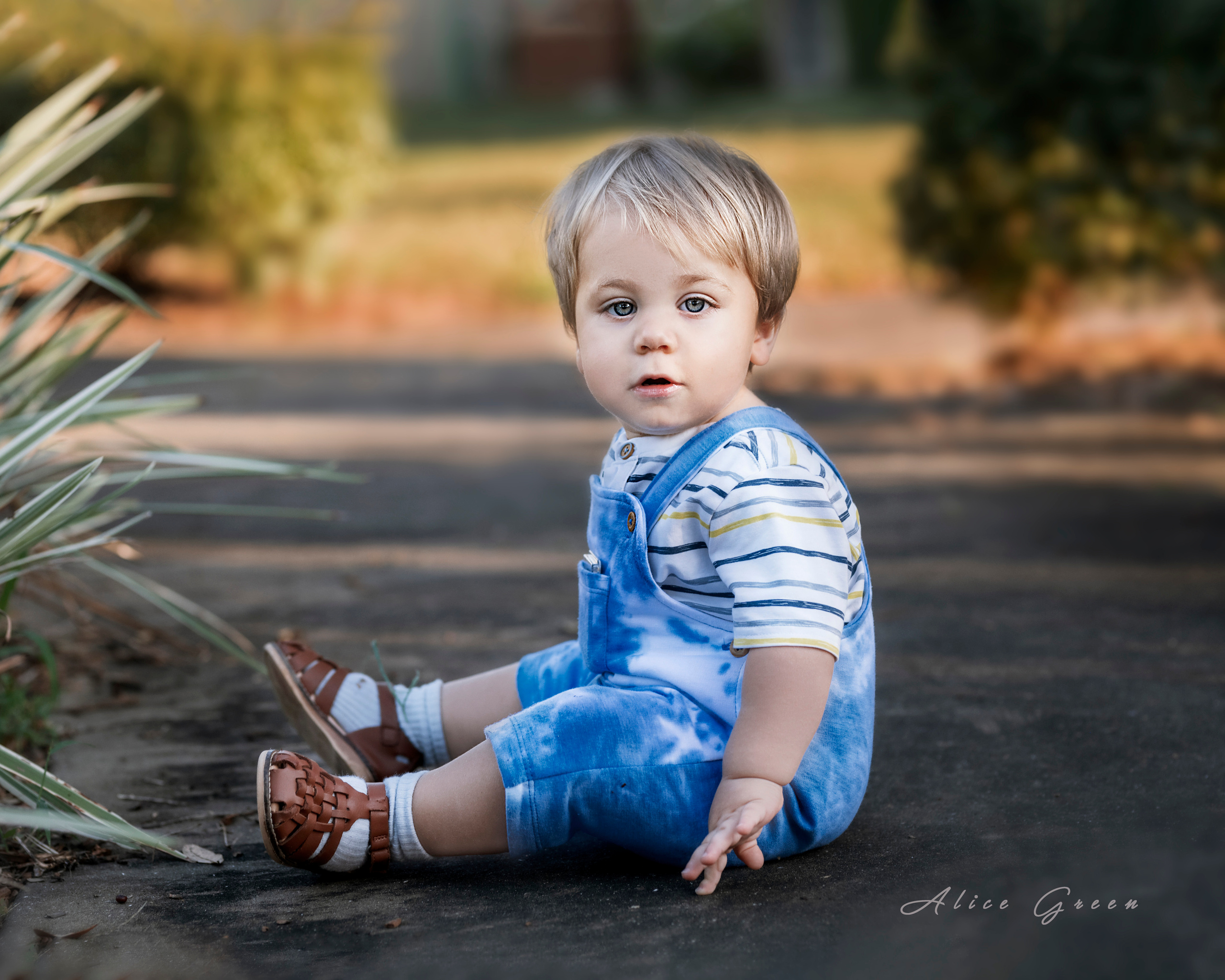 Baby. Portrait, kids and family photographer in Wesley Chapel Alina Alice Osipova