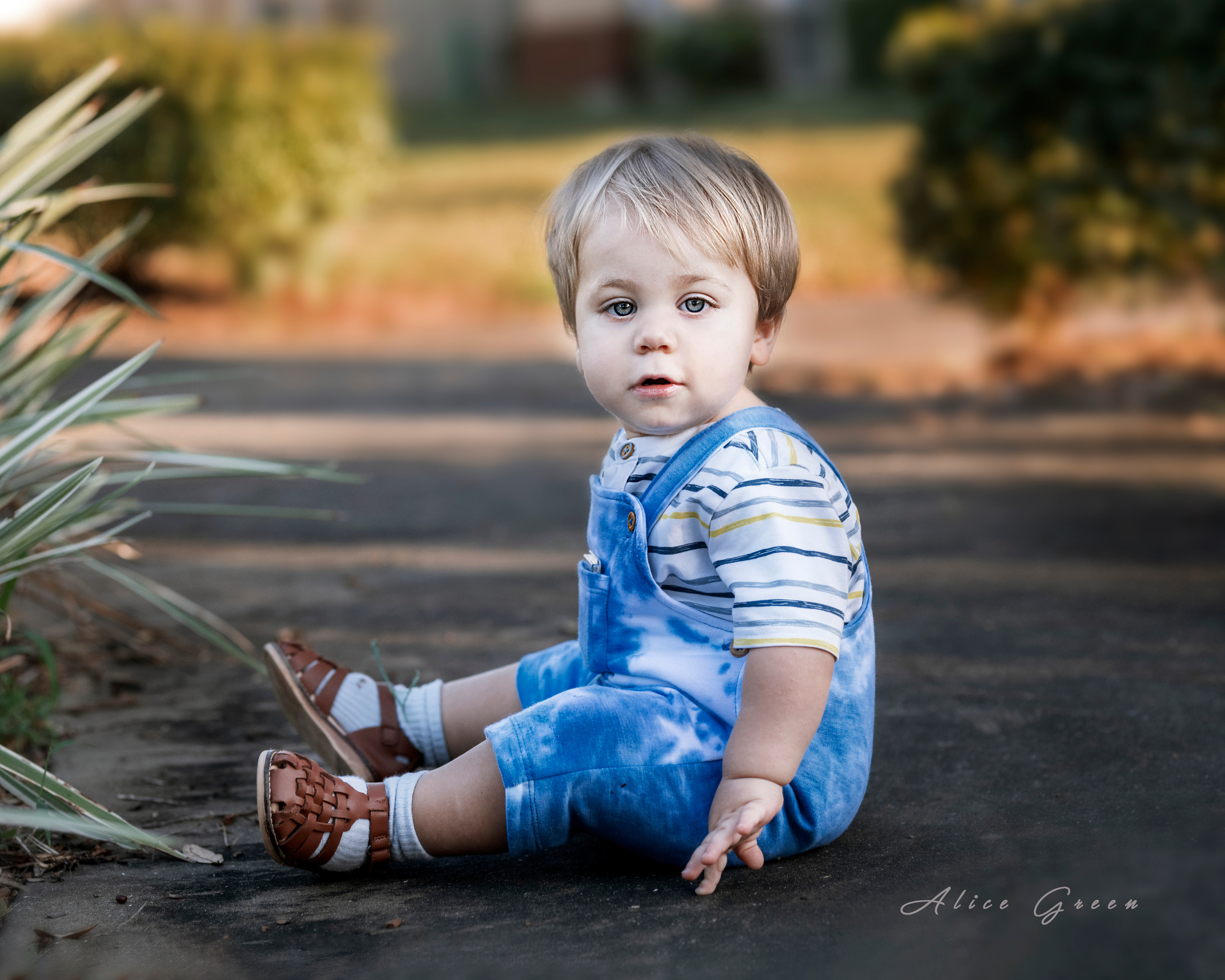 Danya. Portrait, kids and family photographer in Wesley Chapel Alina Alice Osipova