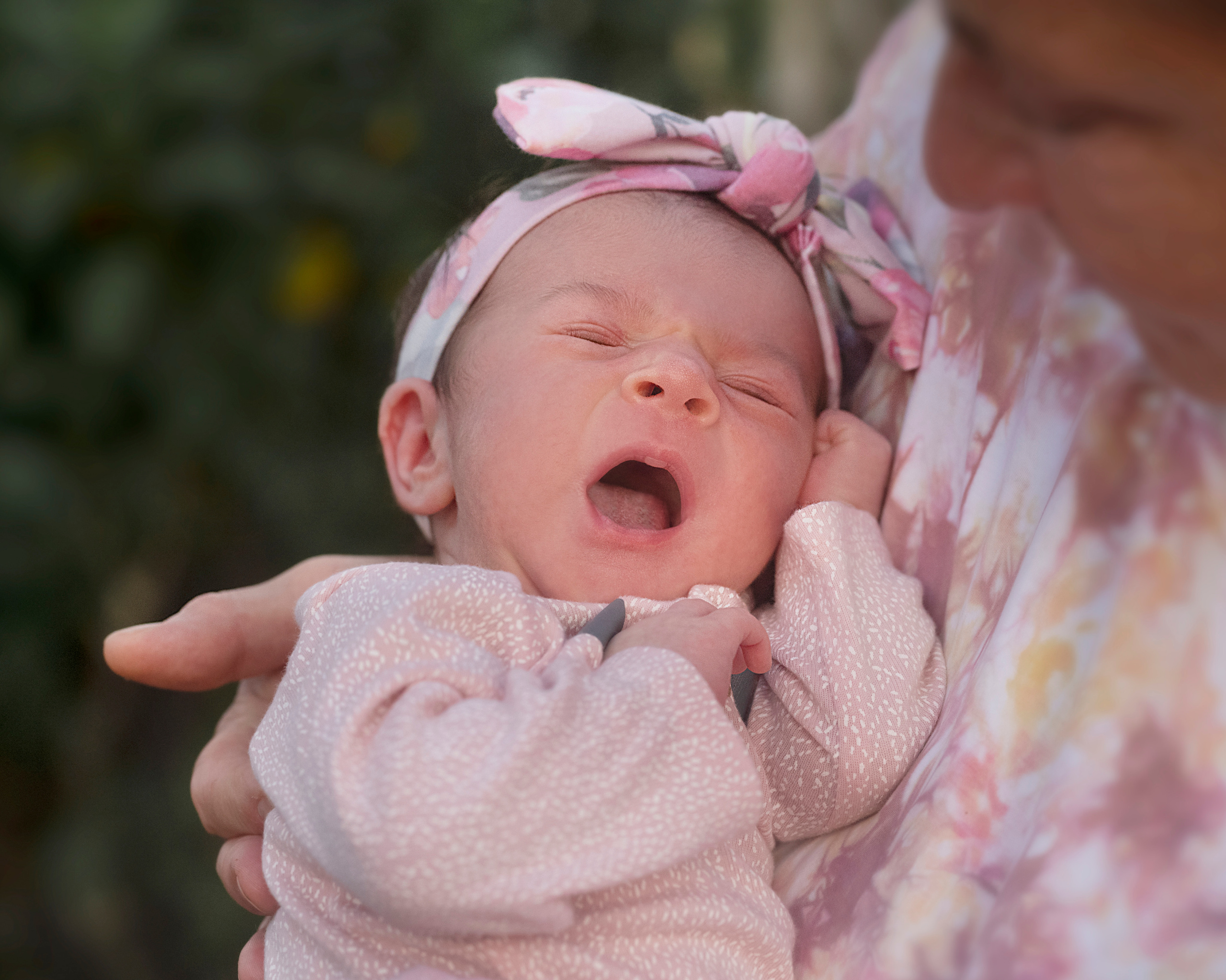 Alexandra. Portrait, kids and family photographer in Wesley Chapel Alina Alice Osipova