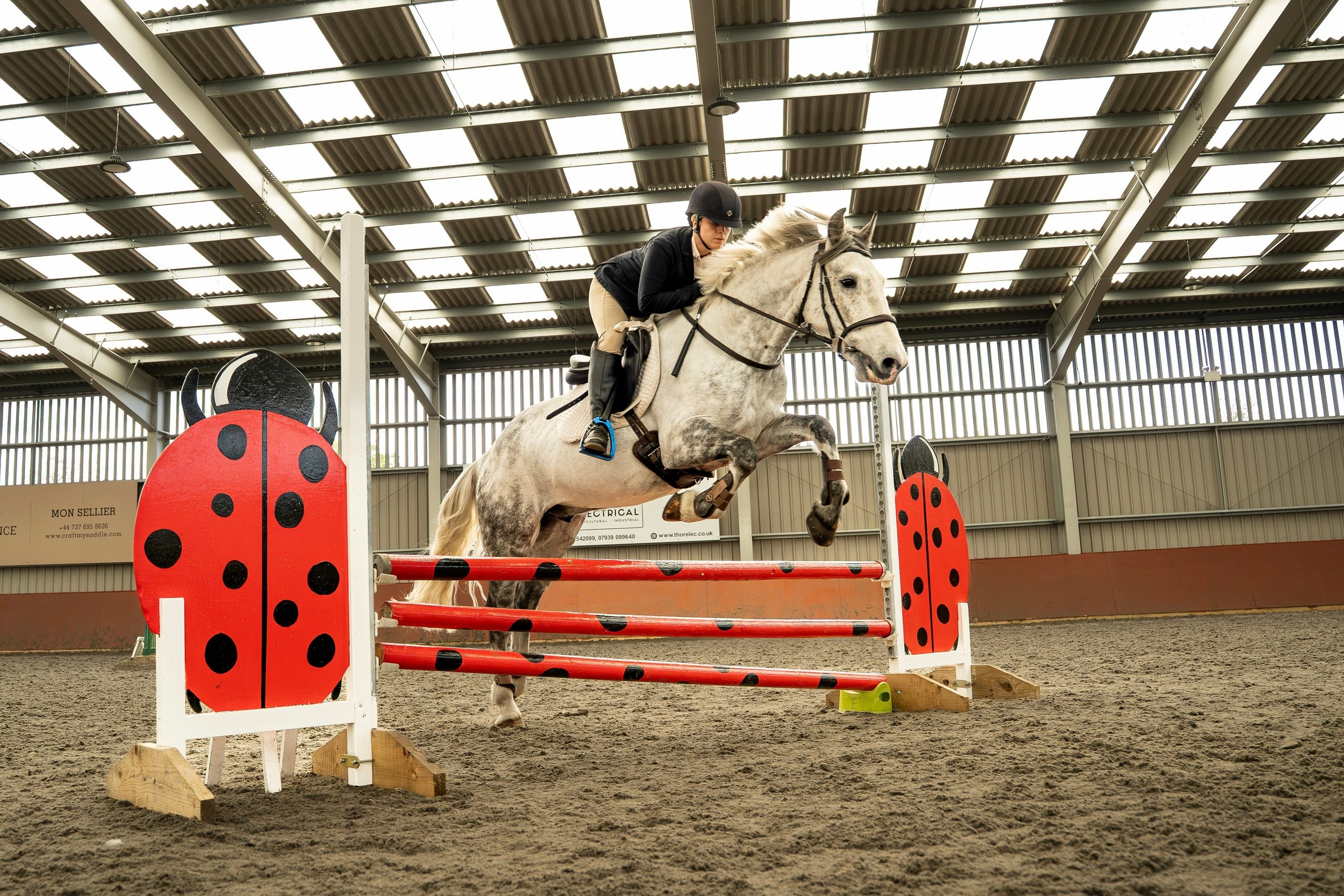 Show Jumping Photography in Leicestershire | Equine Action Shots by El. Leicestershire Equine Photography by El | Authentic Equine Portraits & Events