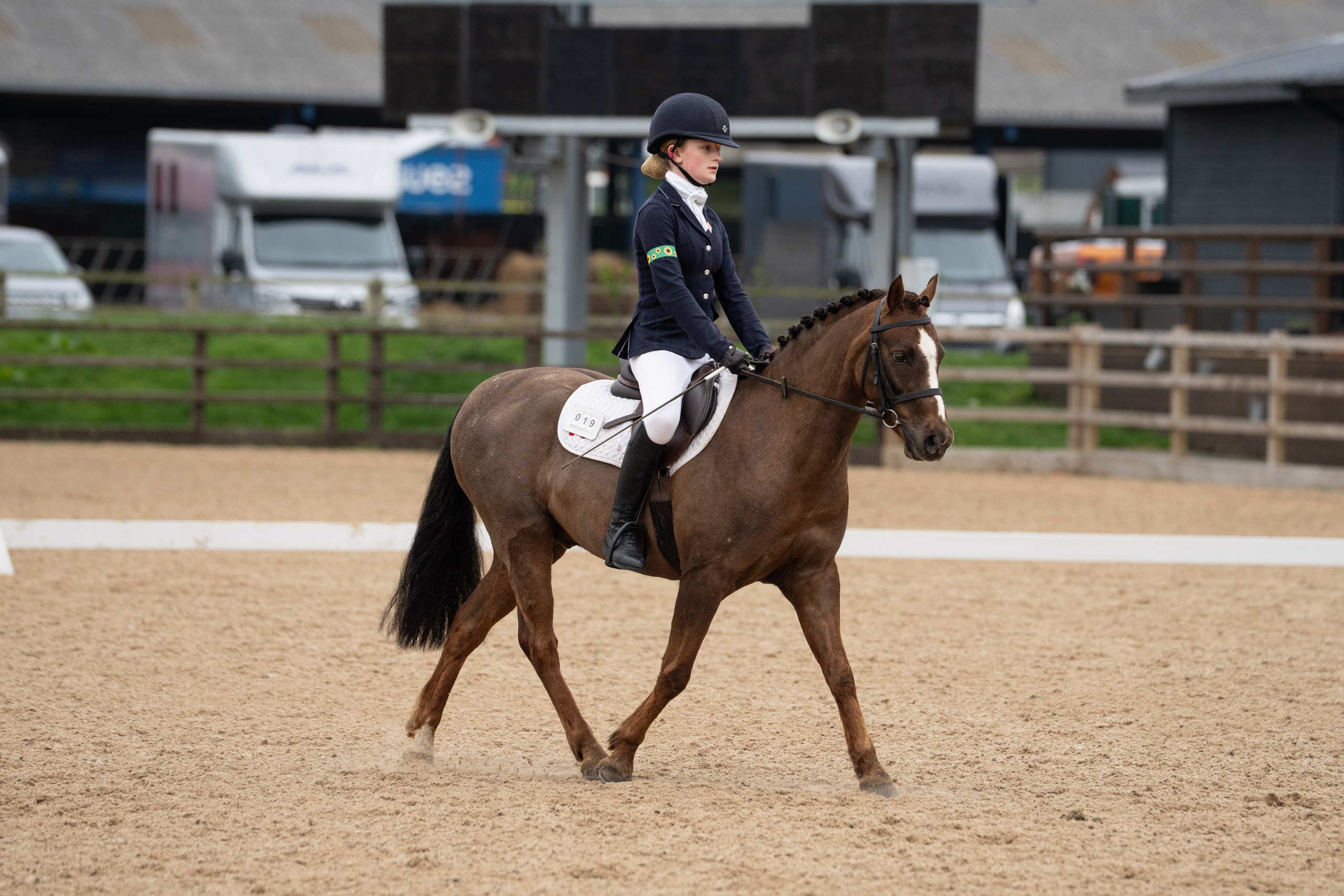Dressage. Leicestershire Equine Photography by El | Authentic Equine Portraits & Events