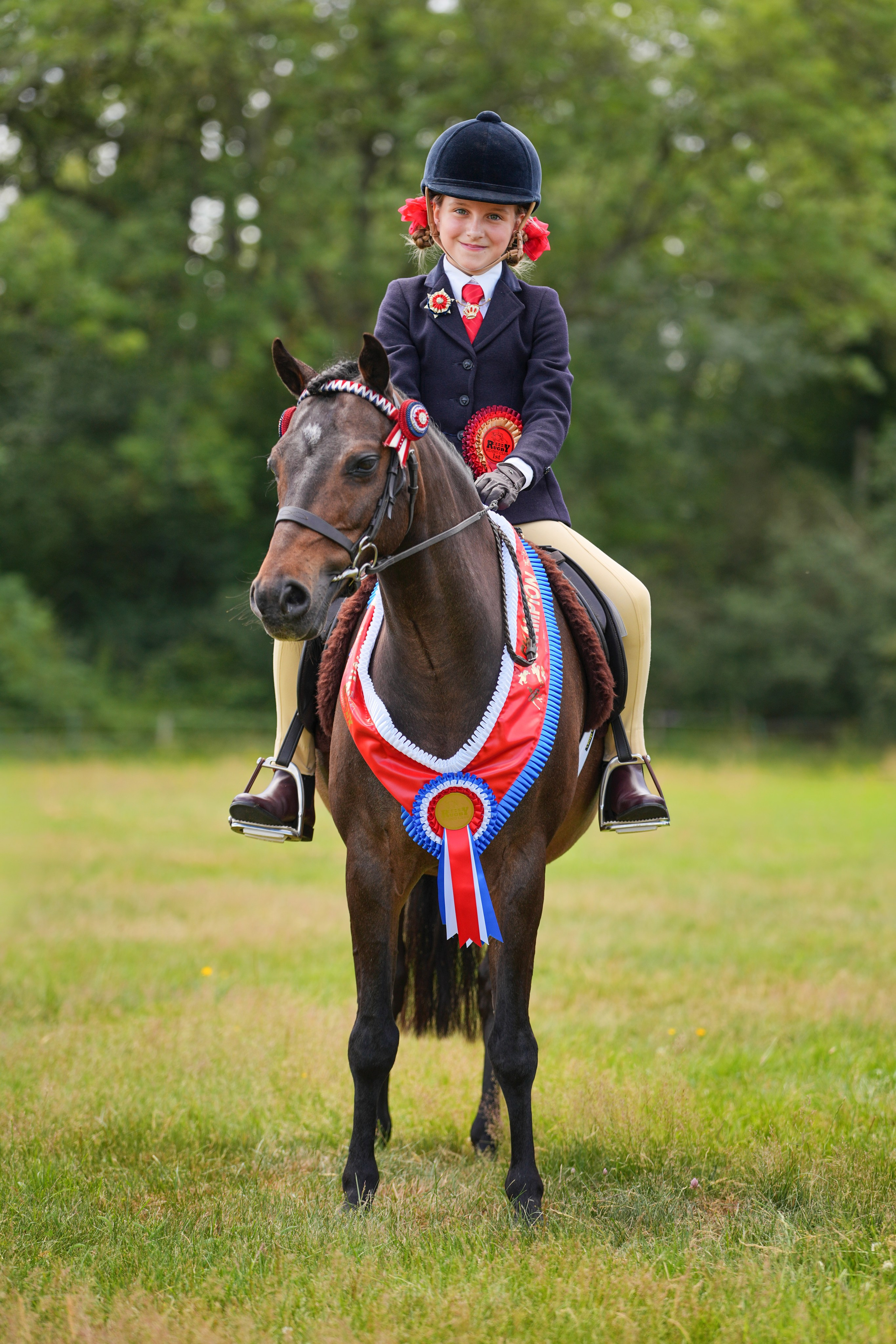 Showing. Leicestershire Equine Photography by El | Authentic Equine Portraits & Events