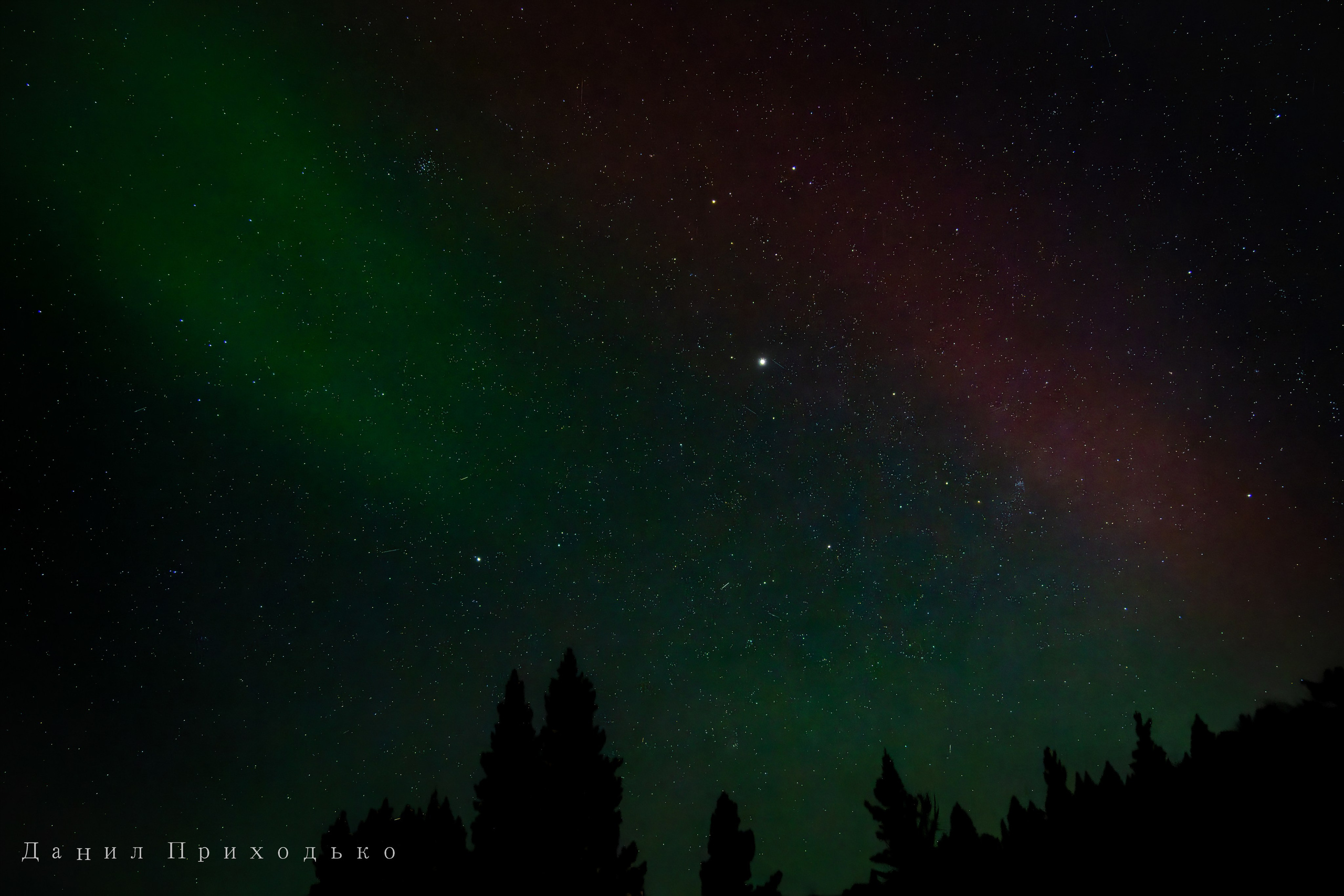 Danil Prikhodko Photography