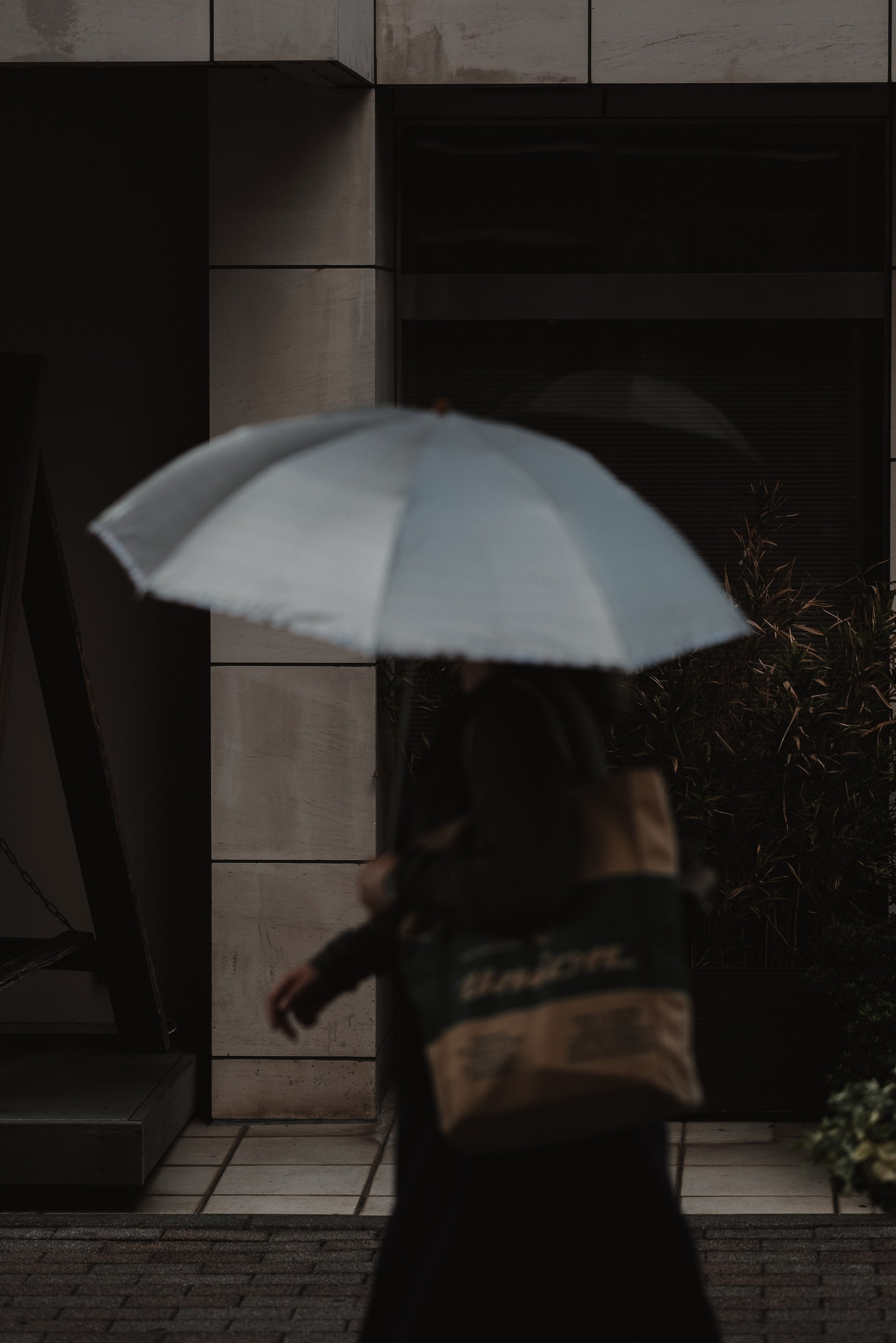 Silhouette stories. Senya JP