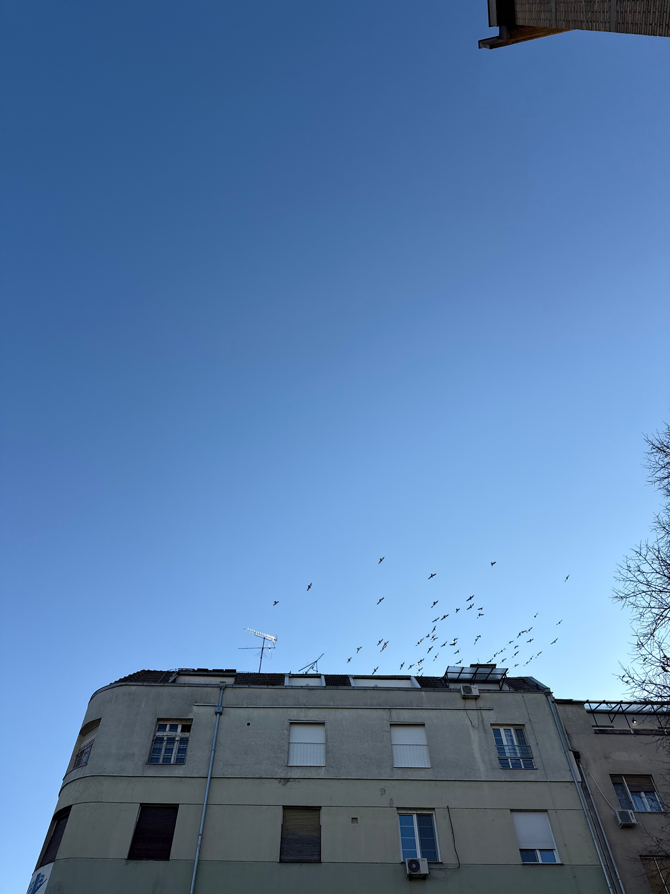 Как прошла первая фото-игра. Анастасия Еремина | Фотограф в Сербии | Персональные и бизнес-фотосессии в Белграде и Нови Саде