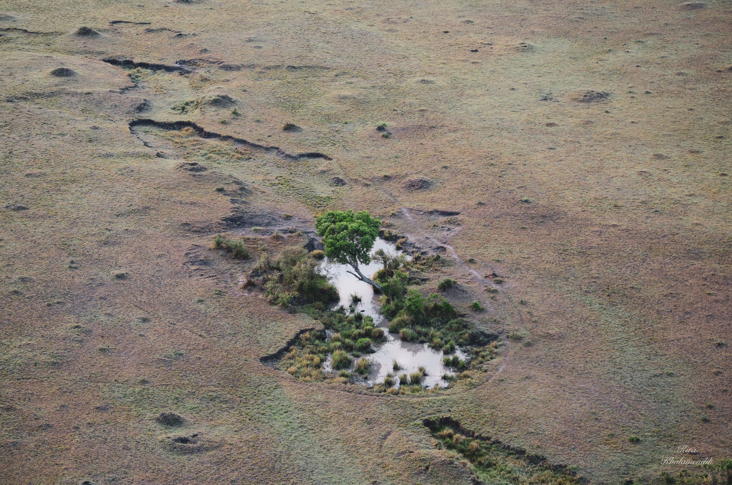 Afrique Centrale (paysages, animaux). Mannequins, design, decoration, handmade, photographe…