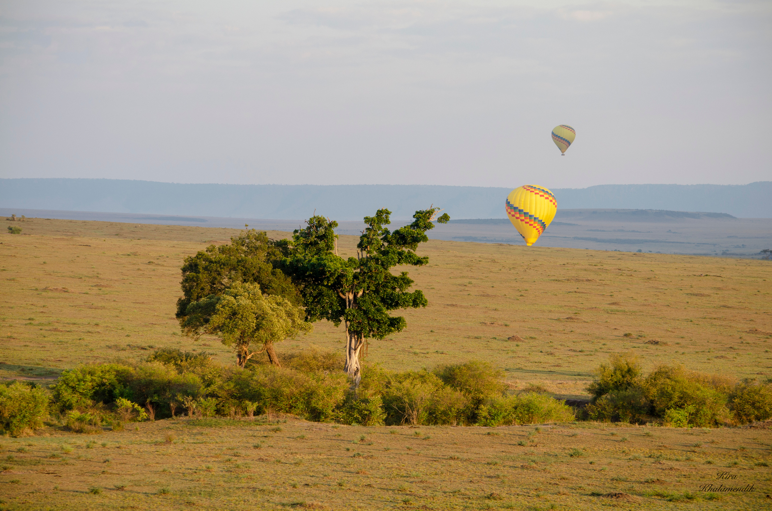 Afrique Centrale (paysages, animaux). Mannequins, design, decoration, handmade, photographe…