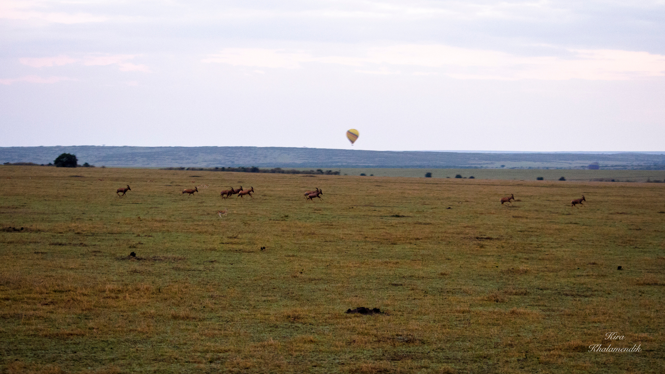Afrique Centrale (paysages, animaux). Mannequins, design, decoration, handmade, photographe…