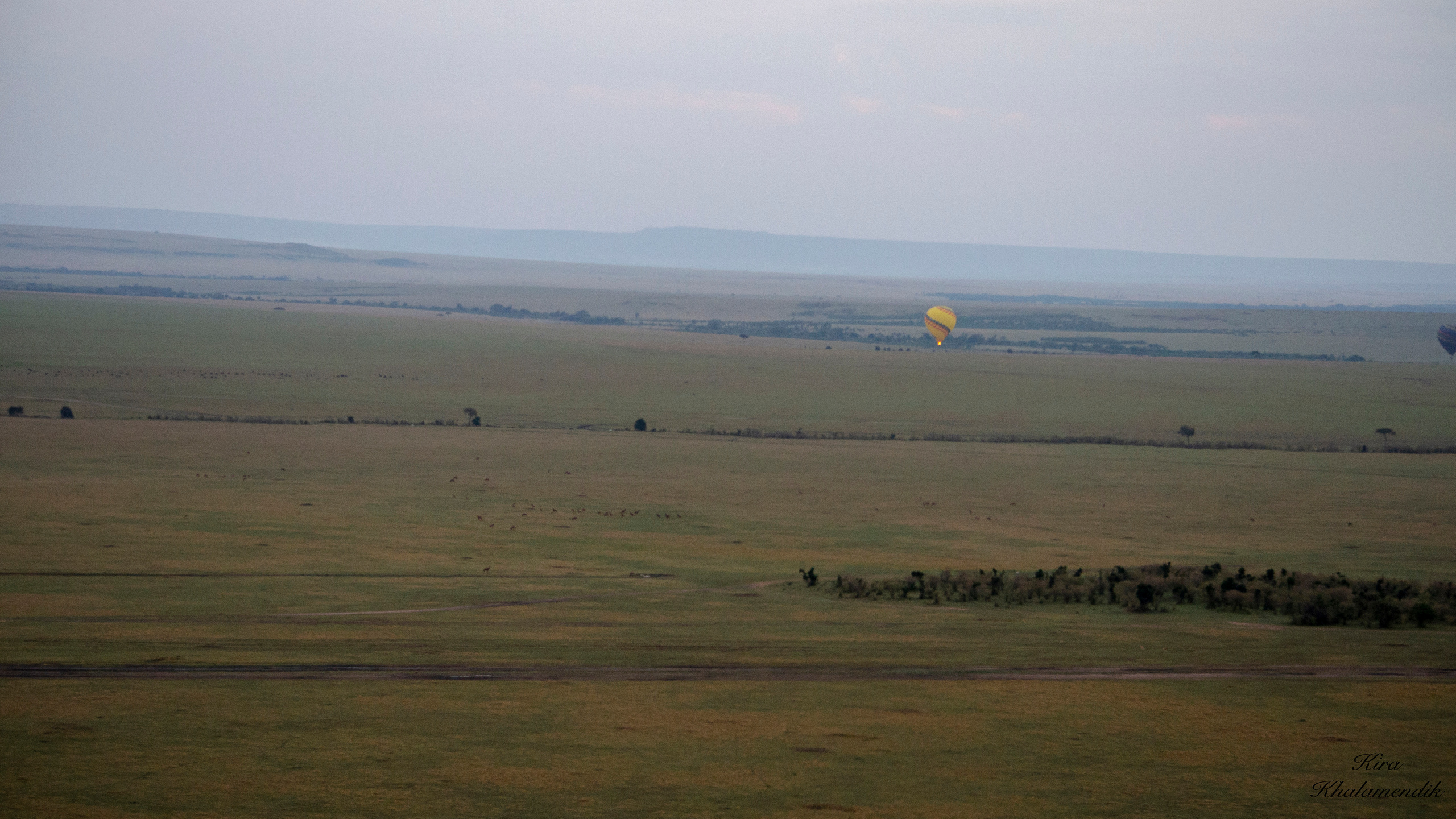 Afrique Centrale (paysages, animaux). Mannequins, design, decoration, handmade, photographe…