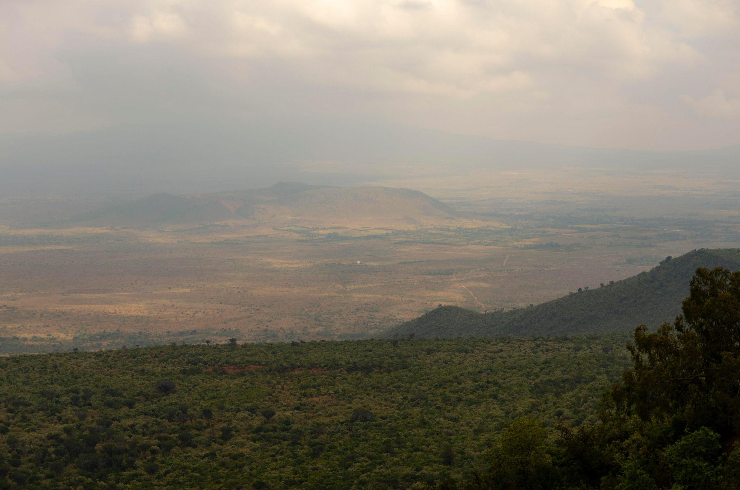 Afrique Centrale (paysages, animaux). Mannequins, design, decoration, handmade, photographe…