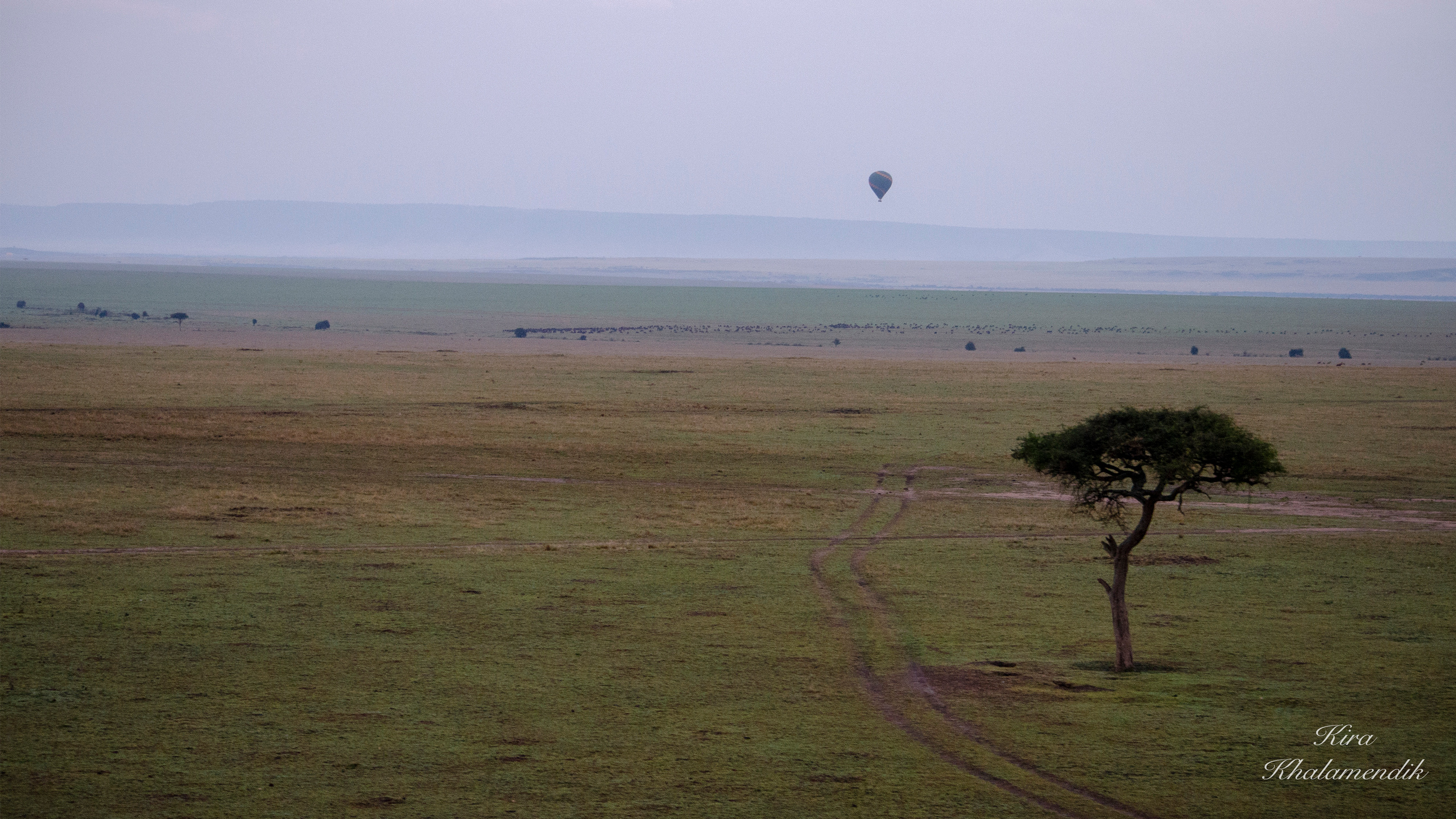 Afrique Centrale (paysages, animaux). Mannequins, design, decoration, handmade, photographe…