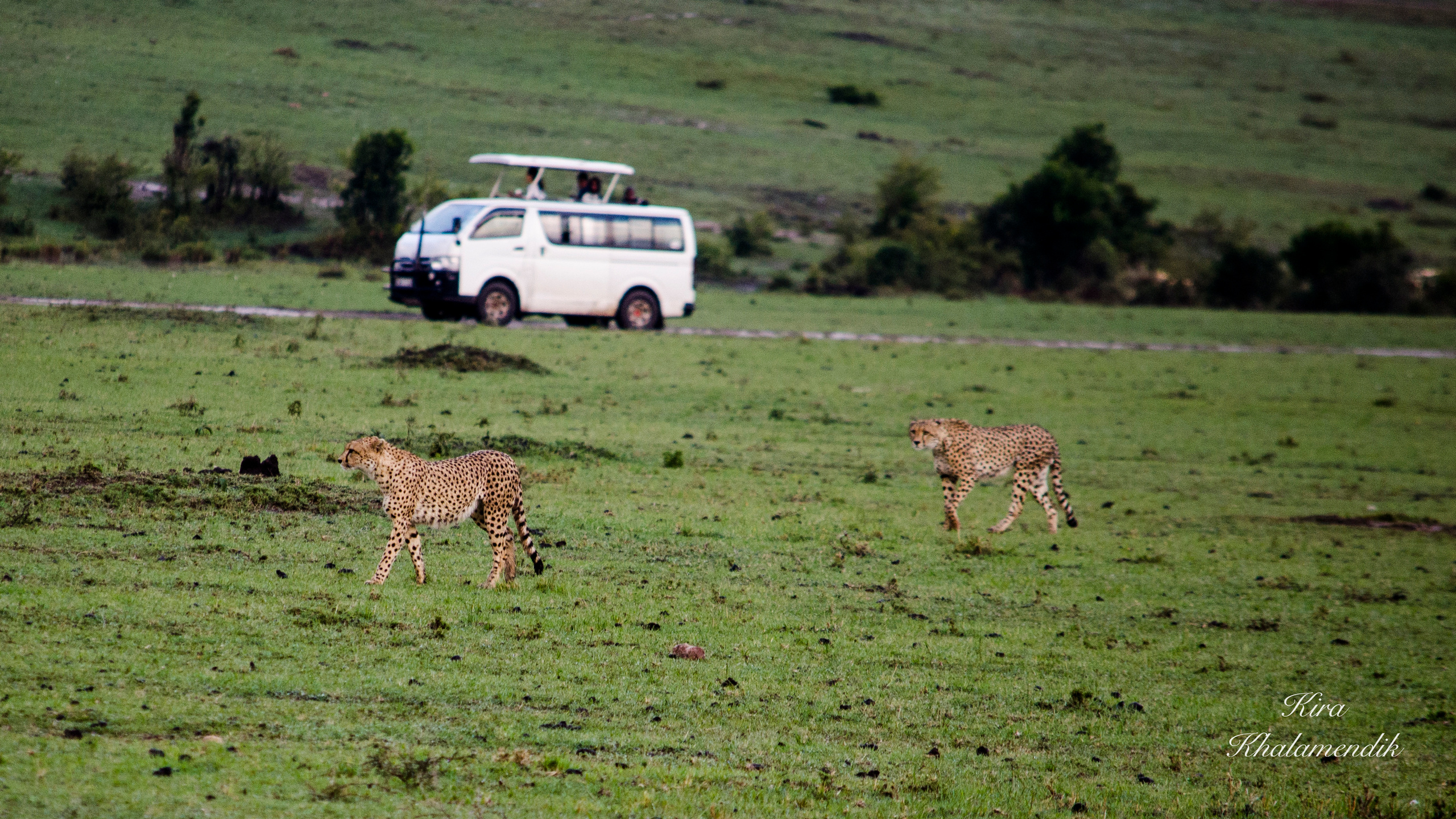 Afrique Centrale (paysages, animaux). Mannequins, design, decoration, handmade, photographe…