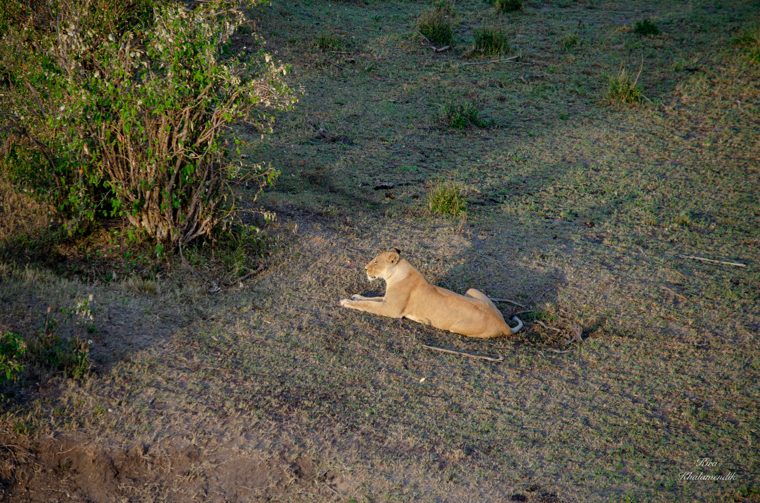 Afrique Centrale (paysages, animaux). Mannequins, design, decoration, handmade, photographe…