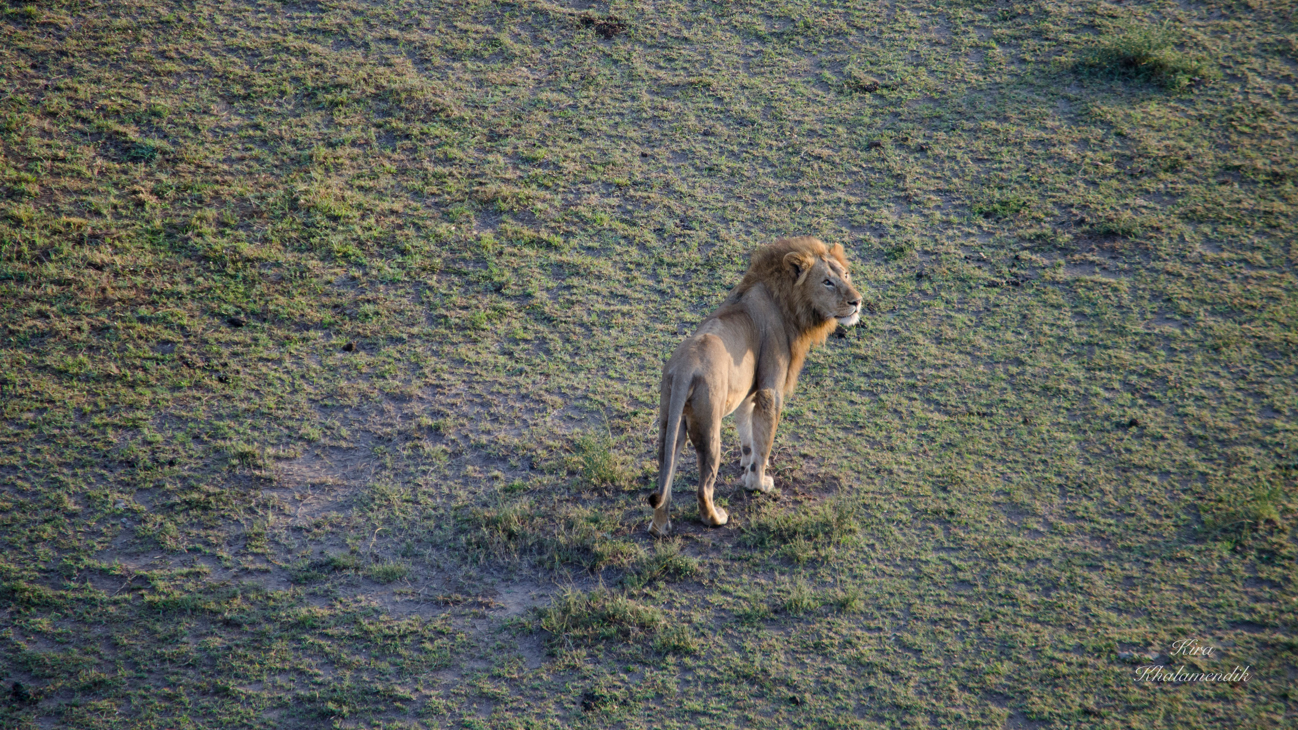 Afrique Centrale (paysages, animaux). Mannequins, design, decoration, handmade, photographe…