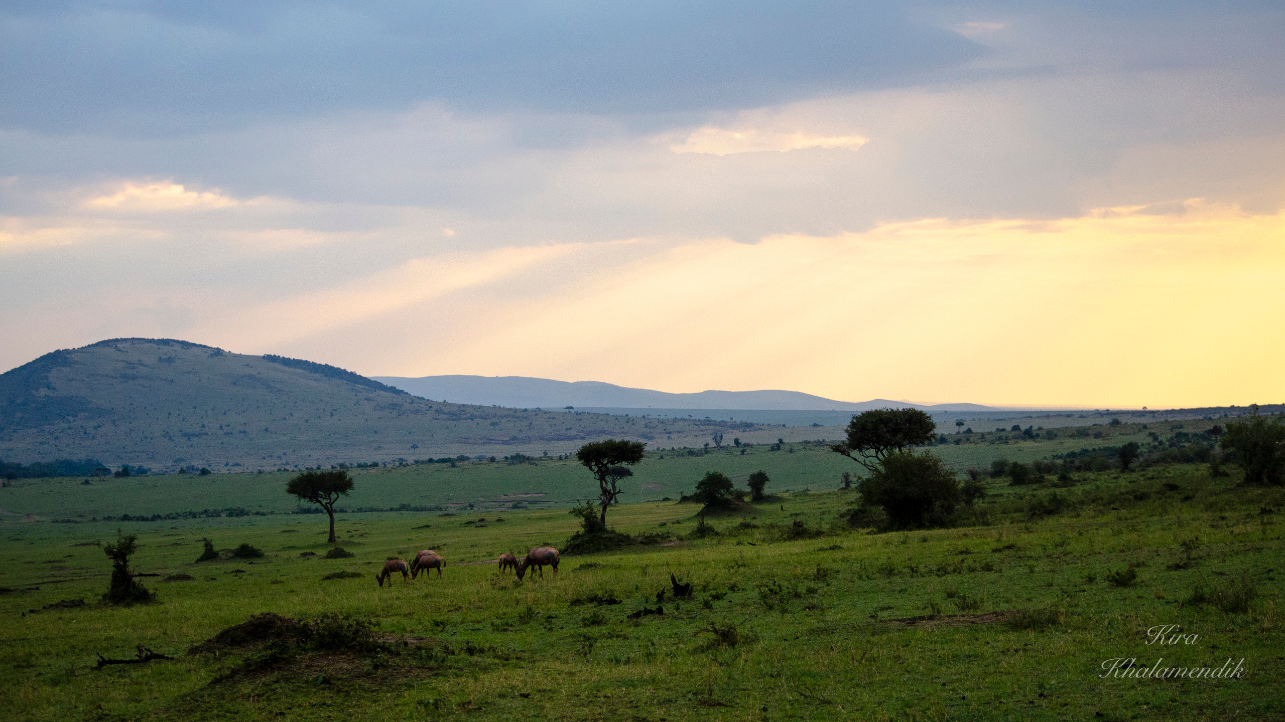 Afrique Centrale (paysages, animaux). Mannequins, design, decoration, handmade, photographe…