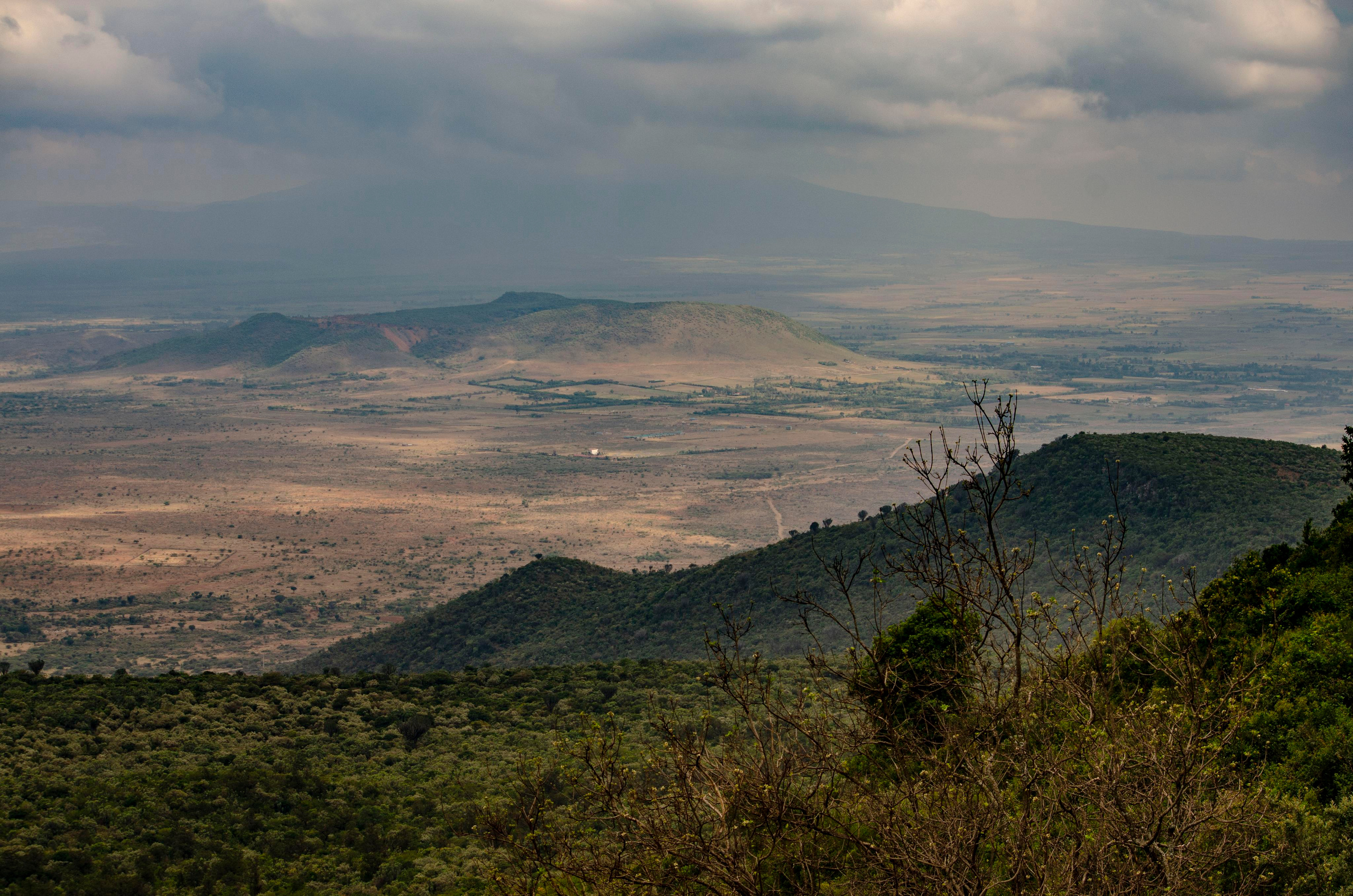 Afrique Centrale (paysages, animaux). Mannequins, design, decoration, handmade, photographe…