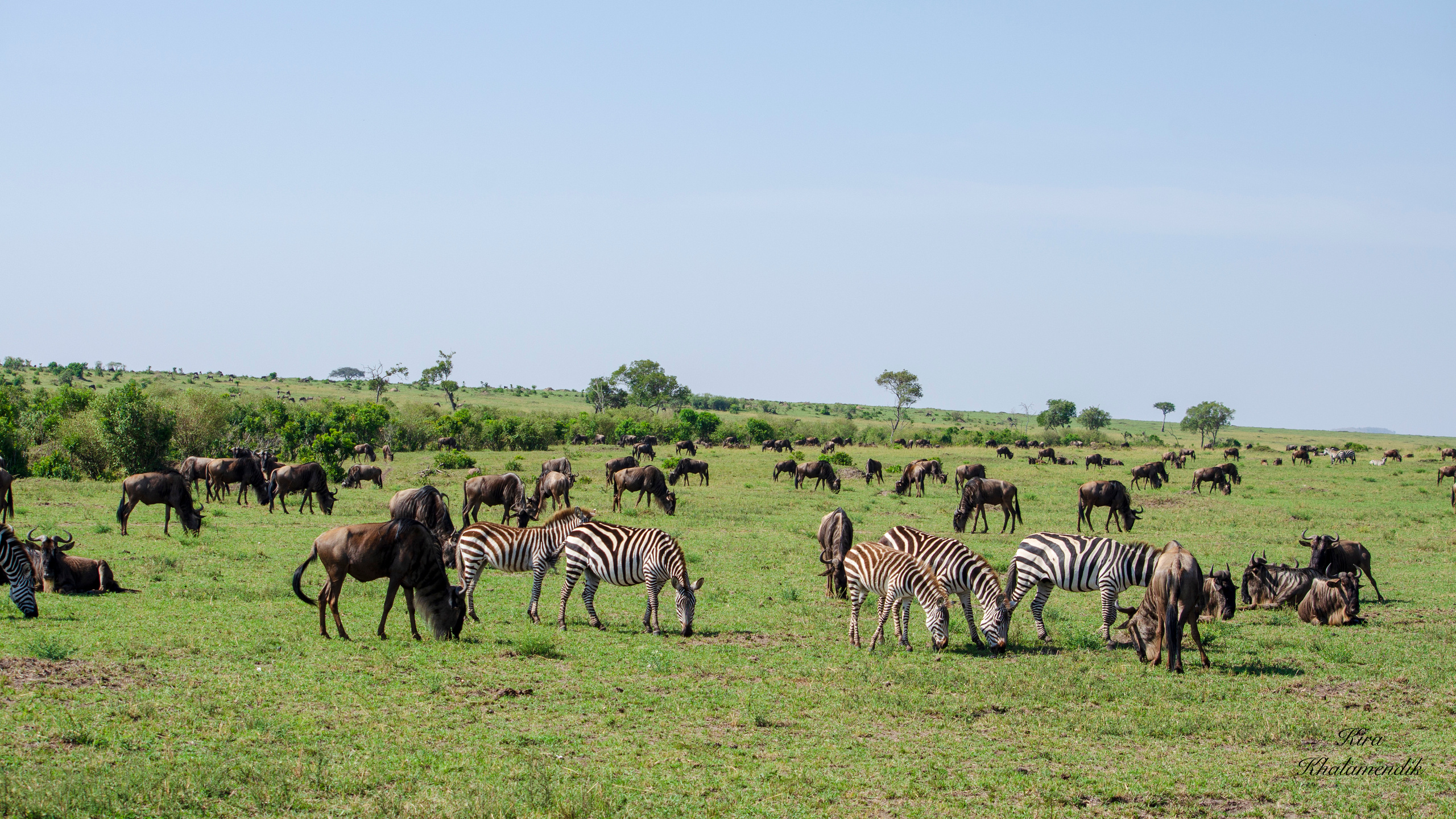 Afrique Centrale (paysages, animaux). Mannequins, design, decoration, handmade, photographe…
