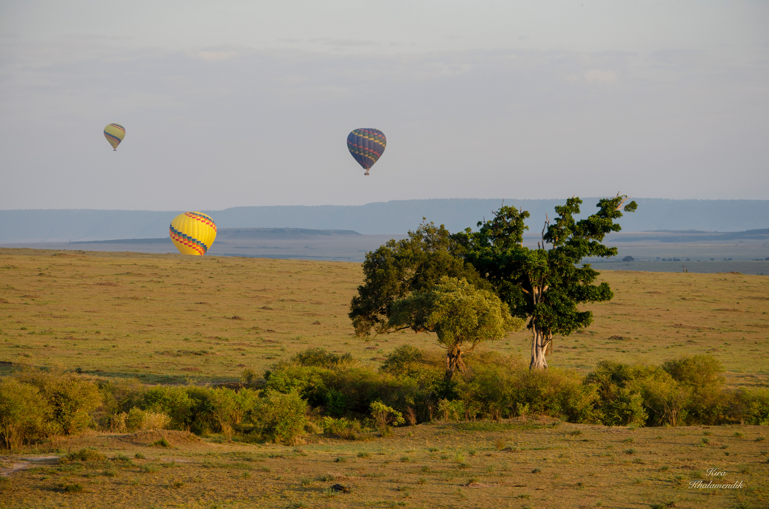 Afrique Centrale (paysages, animaux). Mannequins, design, decoration, handmade, photographe…