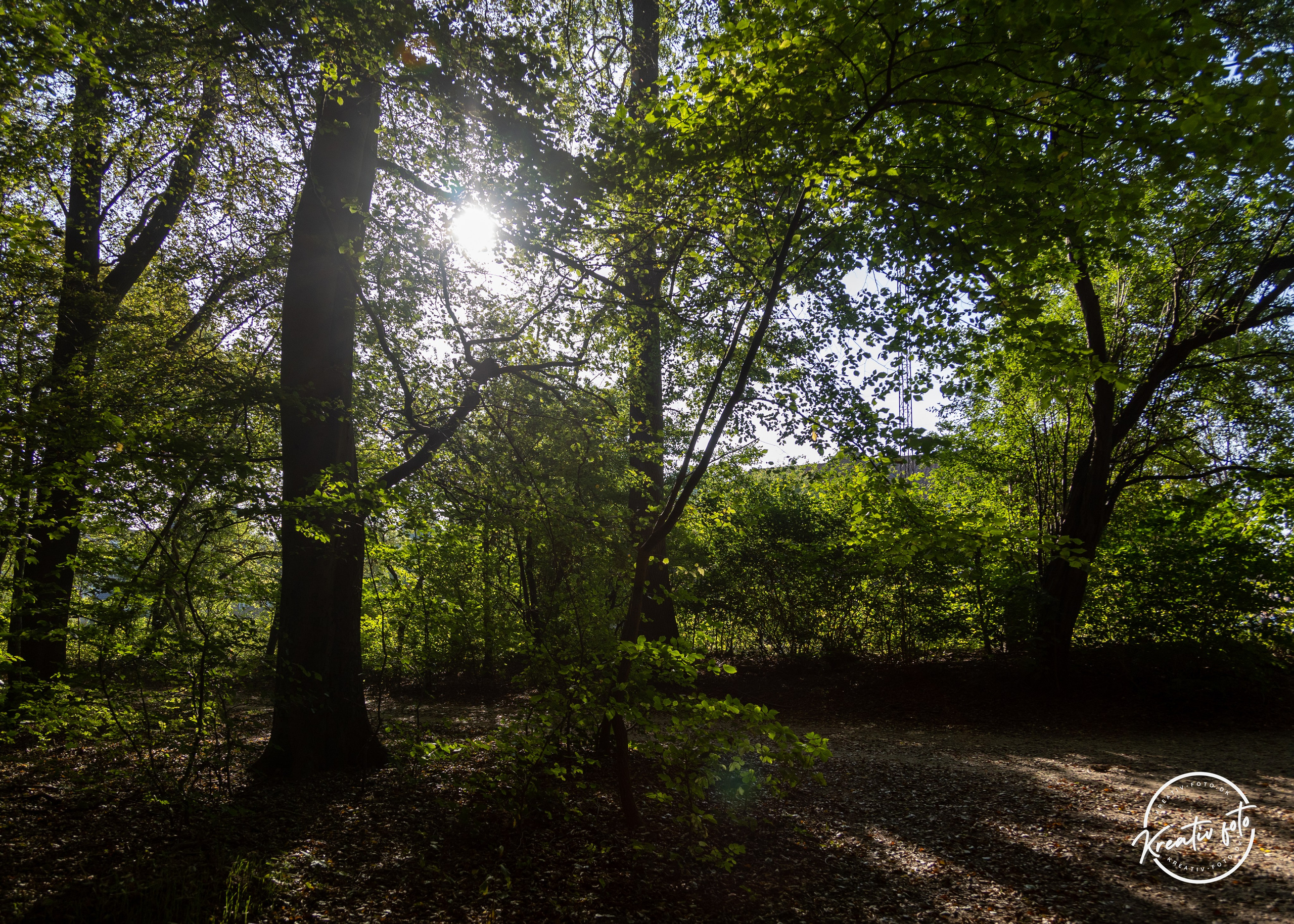 Sommer. Fotograf Aarhus | Portrætfoto Århus | Flotte billeder