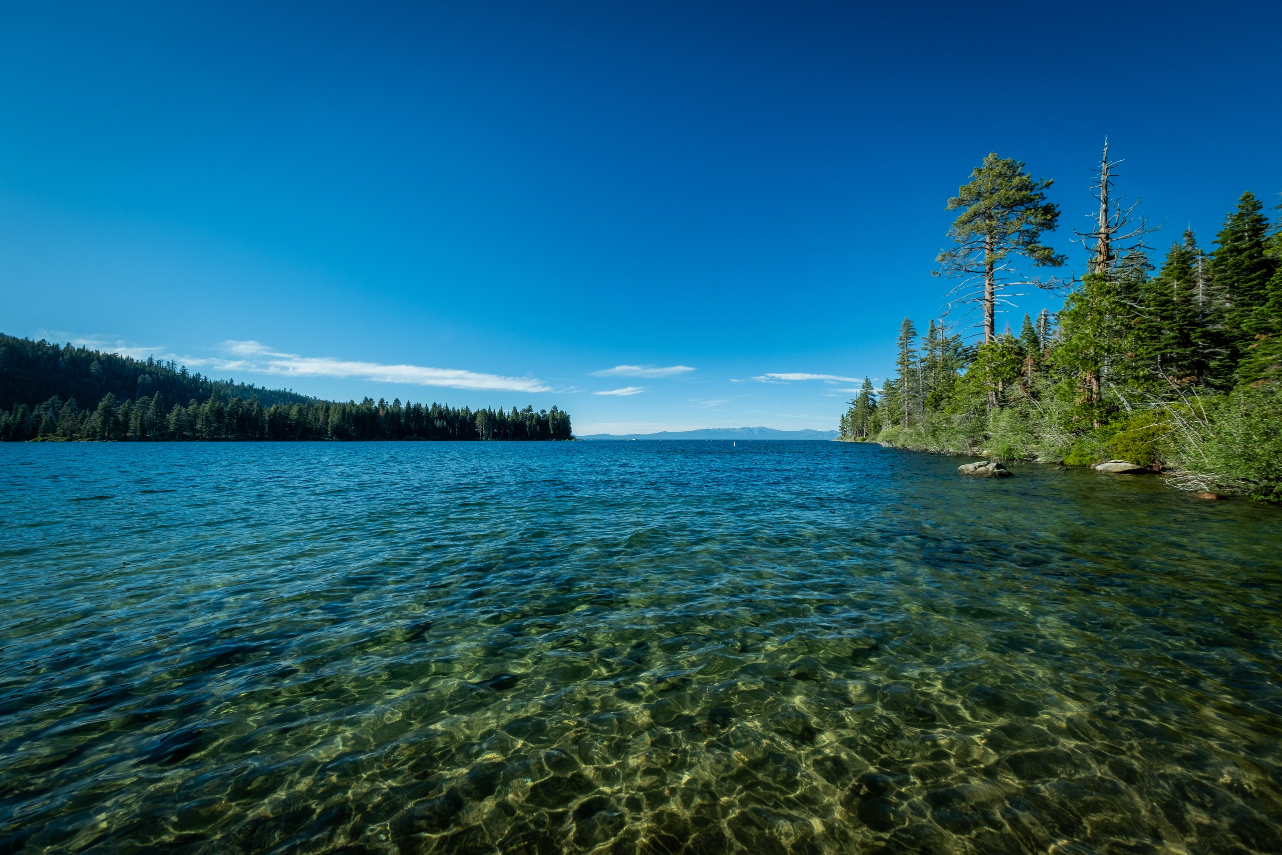 TAHOE. Reportage concert portrait photography in the San Francisco Bay Area