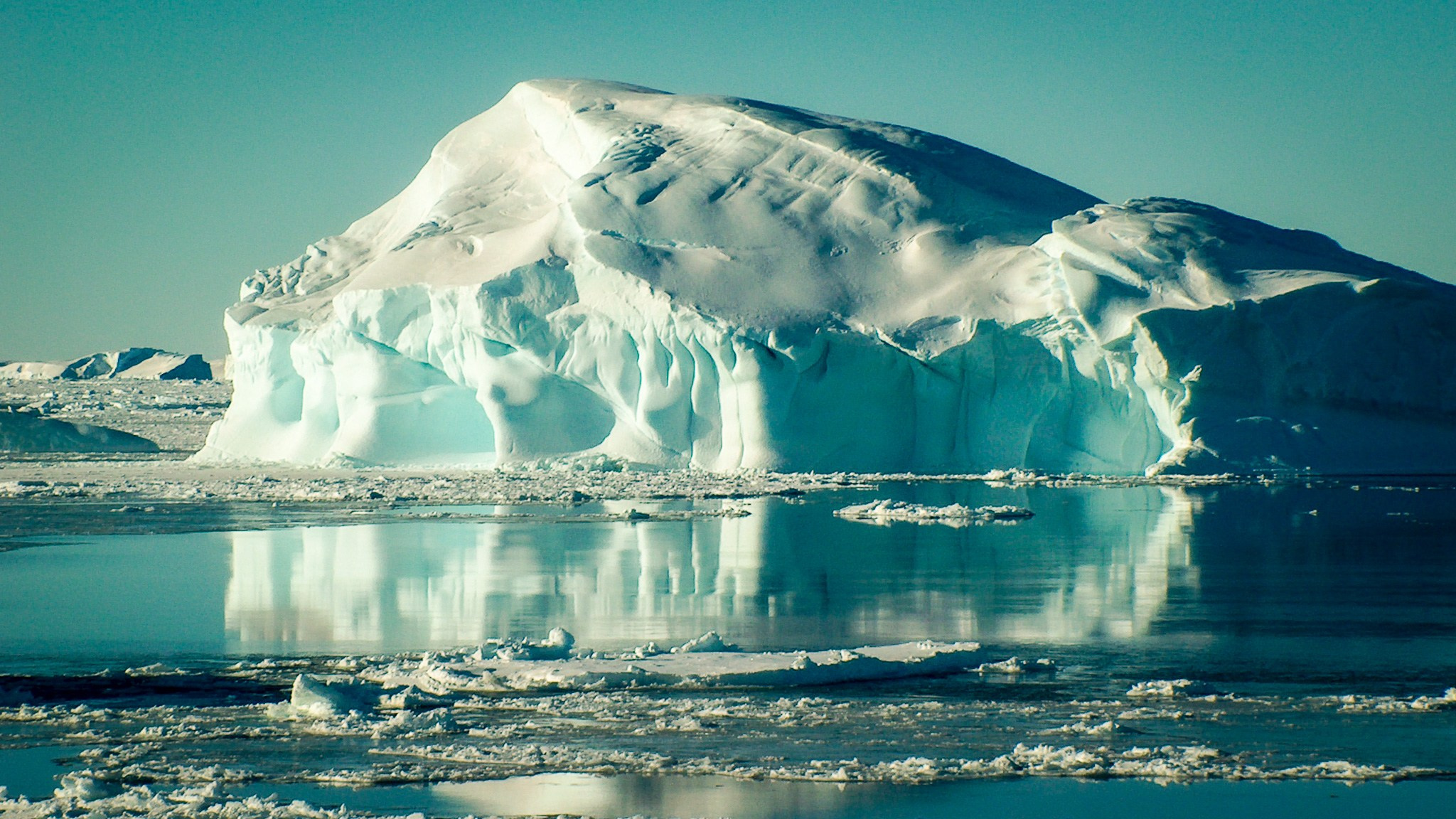 ANTARCTICA / 2004. Reportage concert portrait photography in the San Francisco Bay Area