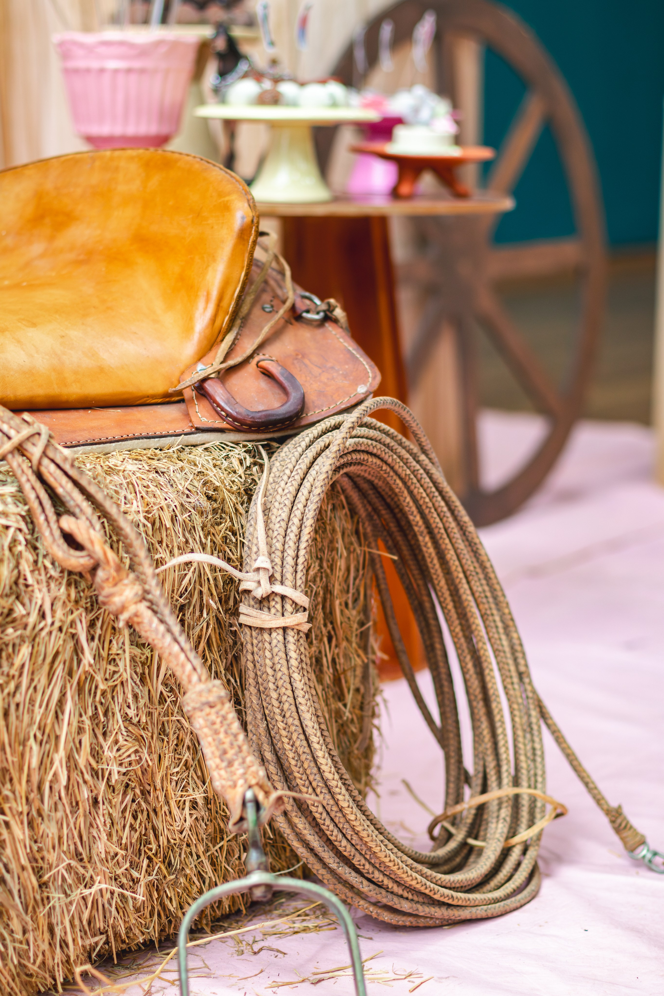 Stella — Aniversário 5 anos. Principal