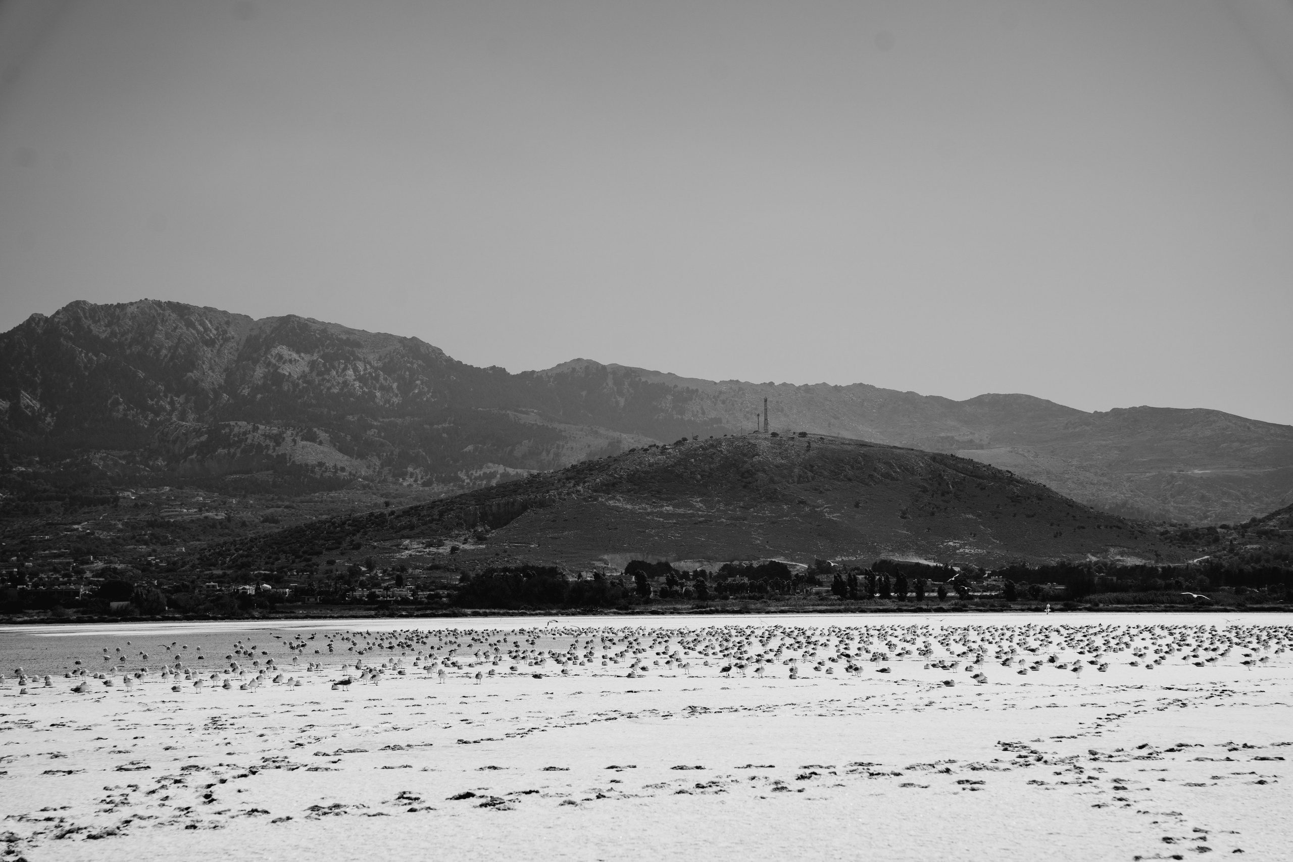 Остров Кос — Греция 🇬🇷. Anita_photo