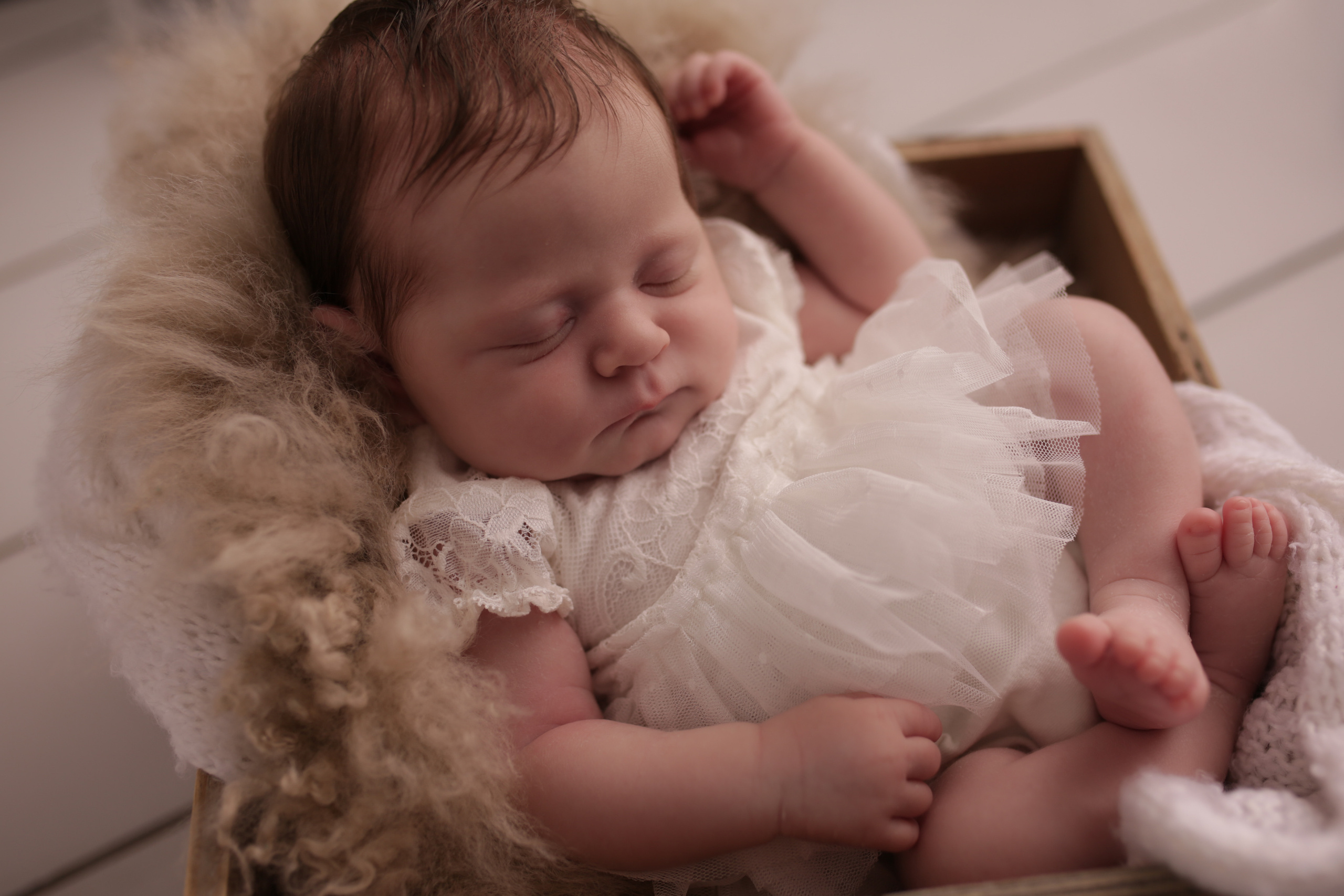 Neugeborene. Neugeborenen, Familien, Geschwister Fotografin aus Delmenhorst